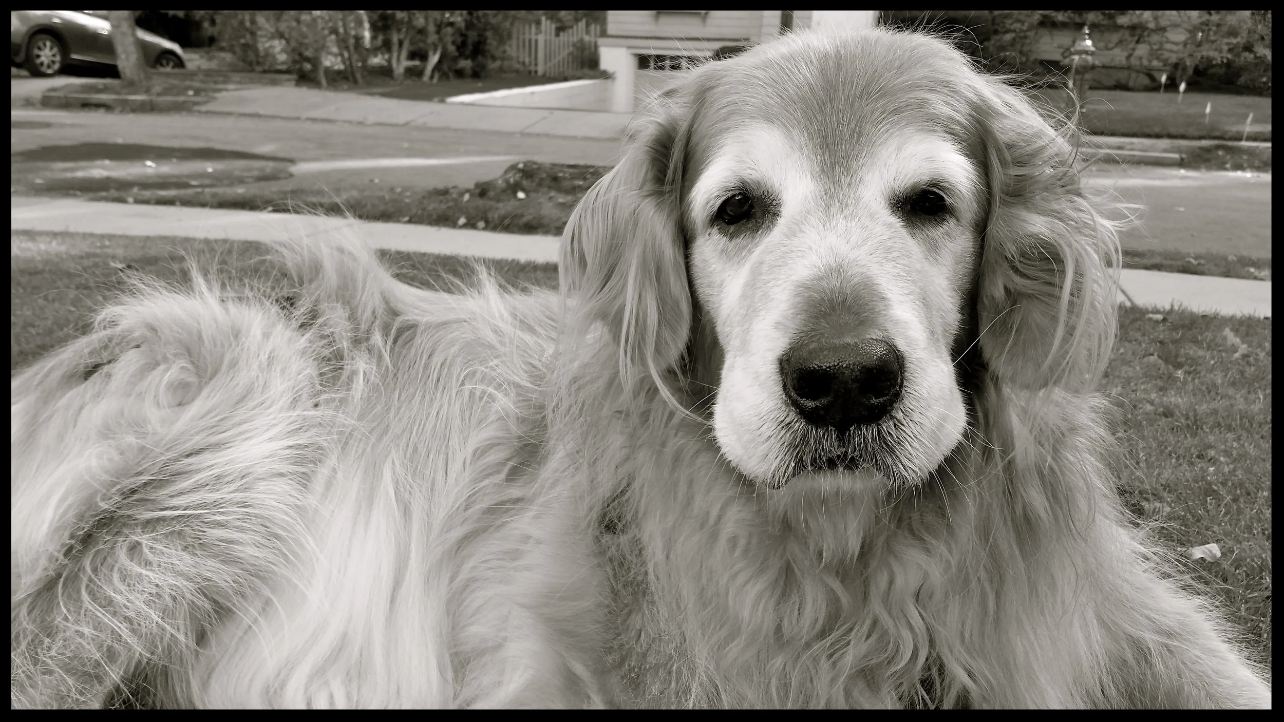 &nbsp;&nbsp;&nbsp;&nbsp;&nbsp;&nbsp;&nbsp;&nbsp;&nbsp;&nbsp;&nbsp;&nbsp;&nbsp;&nbsp;&nbsp;&nbsp;&nbsp;&nbsp;&nbsp;&nbsp;&nbsp;&nbsp;&nbsp;&nbsp;&nbsp;&nbsp;&nbsp;&nbsp;&nbsp;&nbsp;&nbsp;&nbsp;&nbsp;&nbsp;&nbsp;&nbsp;&nbsp;&nbsp;&nbsp;&nbsp;&nbsp;&nb…