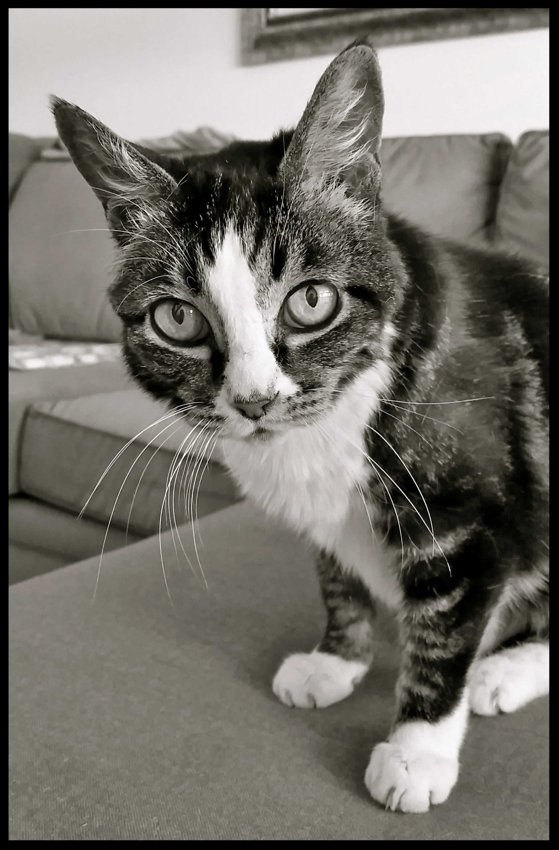 &nbsp;&nbsp;&nbsp;&nbsp;&nbsp;&nbsp;&nbsp;&nbsp;&nbsp;&nbsp;&nbsp;&nbsp;&nbsp;&nbsp;&nbsp;&nbsp;&nbsp;&nbsp;&nbsp;&nbsp;&nbsp;&nbsp;&nbsp;&nbsp;&nbsp;&nbsp;&nbsp;&nbsp;&nbsp;&nbsp;&nbsp;&nbsp;&nbsp;&nbsp;&nbsp;&nbsp;&nbsp;&nbsp;&nbsp;&nbsp;&nbsp;&nb…