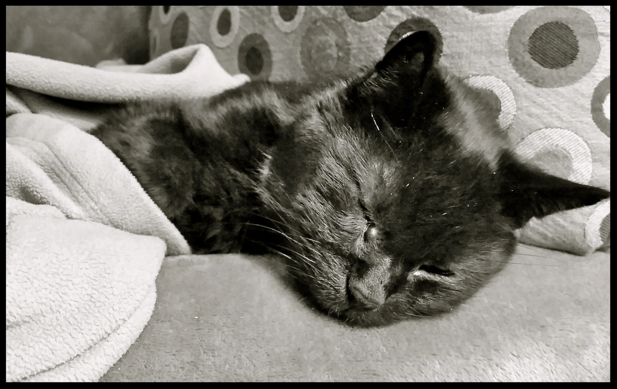 &nbsp;&nbsp;&nbsp;&nbsp;&nbsp;&nbsp;&nbsp;&nbsp;&nbsp;&nbsp;&nbsp;&nbsp;&nbsp;&nbsp;&nbsp;&nbsp;&nbsp;&nbsp;&nbsp;&nbsp;&nbsp;&nbsp;&nbsp;&nbsp;&nbsp;&nbsp;&nbsp;&nbsp;&nbsp;&nbsp;&nbsp;&nbsp;&nbsp;&nbsp;&nbsp;&nbsp;&nbsp;&nbsp;&nbsp;&nbsp;&nbsp;&nb…