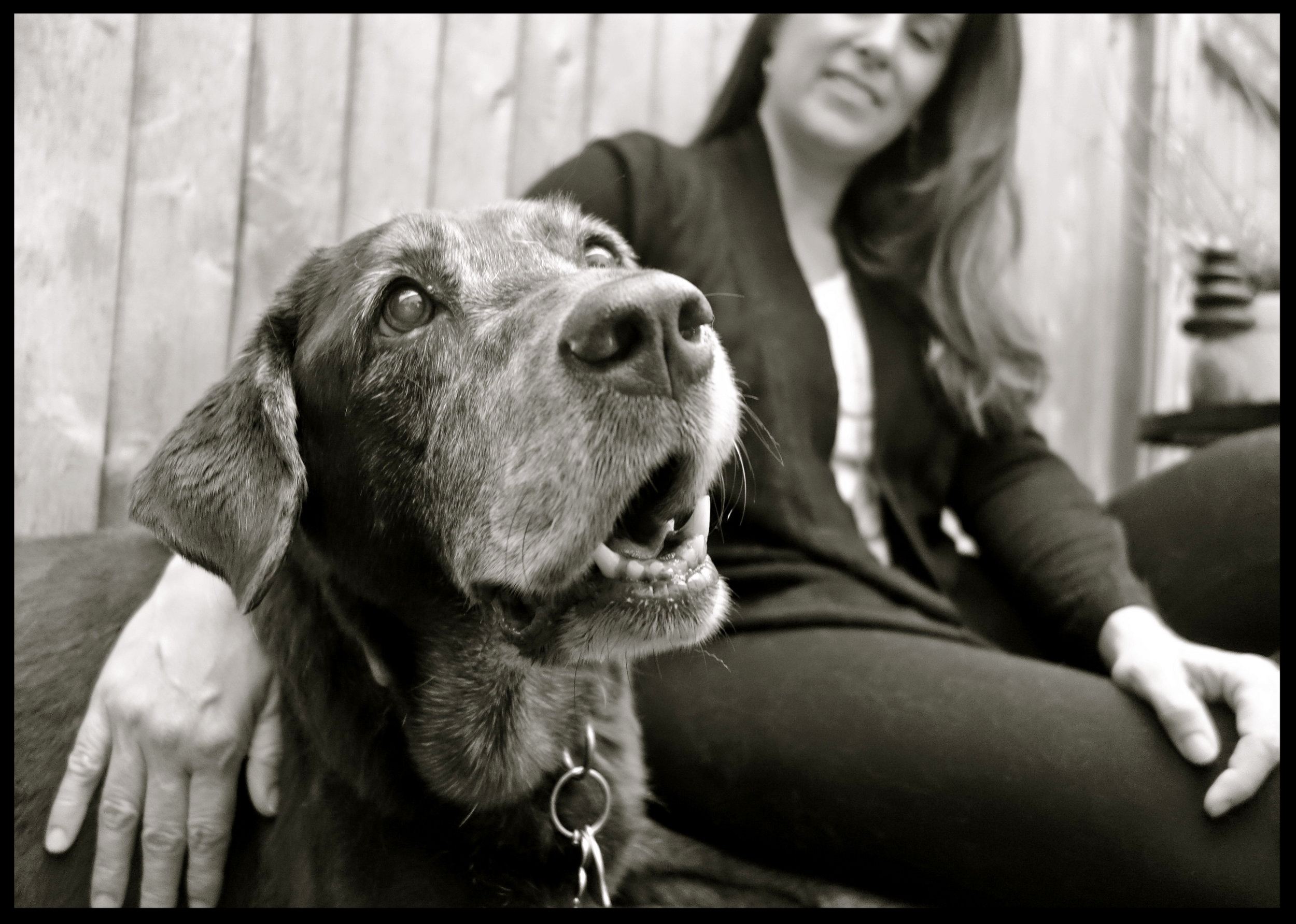 &nbsp;&nbsp;&nbsp;&nbsp;&nbsp;&nbsp;&nbsp;&nbsp;&nbsp;&nbsp;&nbsp;&nbsp;&nbsp;&nbsp;&nbsp;&nbsp;&nbsp;&nbsp;&nbsp;&nbsp;&nbsp;&nbsp;&nbsp;&nbsp;&nbsp;&nbsp;&nbsp;&nbsp;&nbsp;&nbsp;&nbsp;&nbsp;&nbsp;&nbsp;&nbsp;&nbsp;&nbsp;&nbsp;&nbsp;&nbsp;&nbsp;&nb…