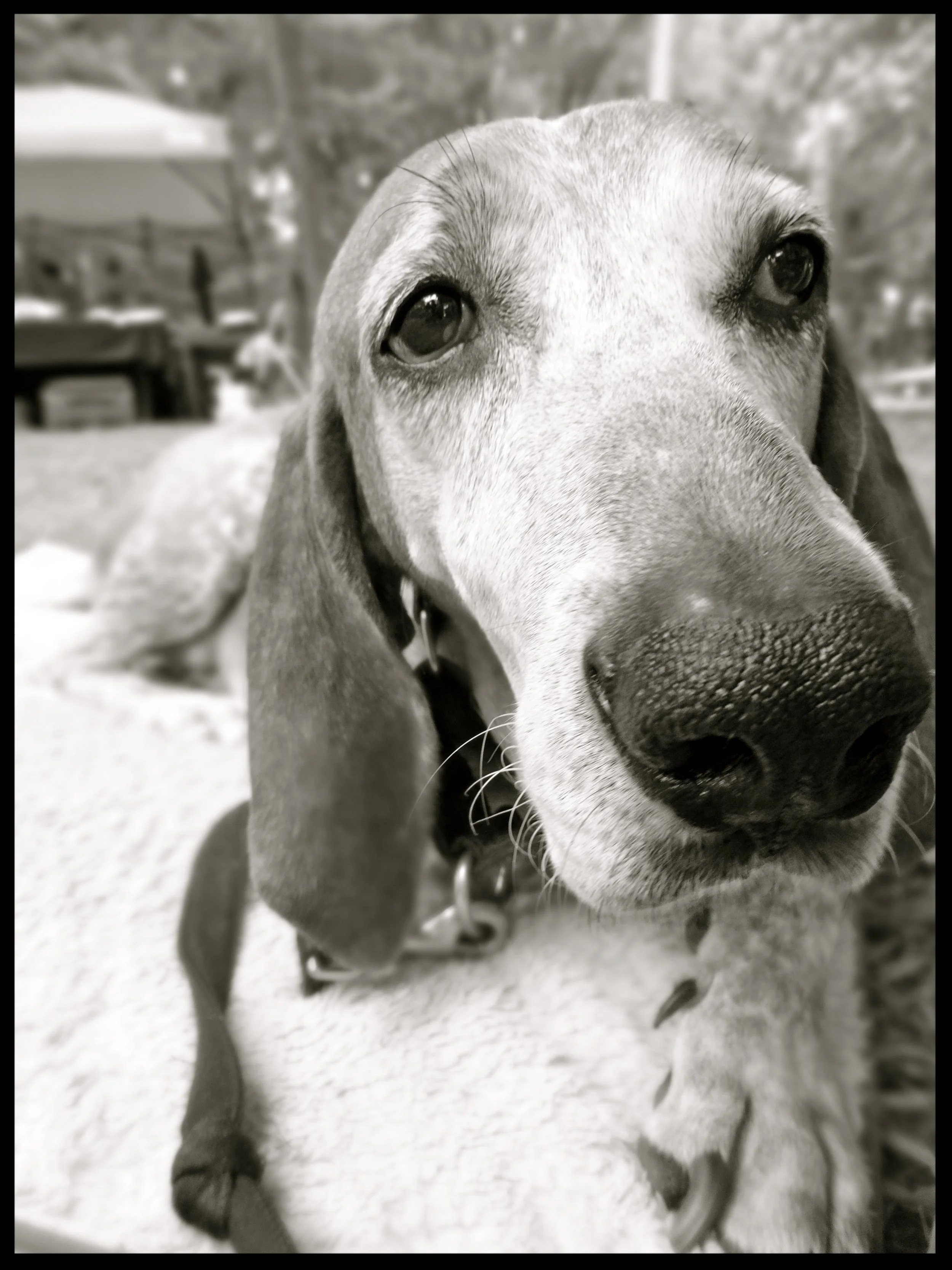 &nbsp;&nbsp;&nbsp;&nbsp;&nbsp;&nbsp;&nbsp;&nbsp;&nbsp;&nbsp;&nbsp;&nbsp;&nbsp;&nbsp;&nbsp;&nbsp;&nbsp;&nbsp;&nbsp;&nbsp;&nbsp;&nbsp;&nbsp;&nbsp;&nbsp;&nbsp;&nbsp;&nbsp;&nbsp;&nbsp;&nbsp;&nbsp;&nbsp;&nbsp;&nbsp;&nbsp;&nbsp;&nbsp;&nbsp;&nbsp;&nbsp;&nb…