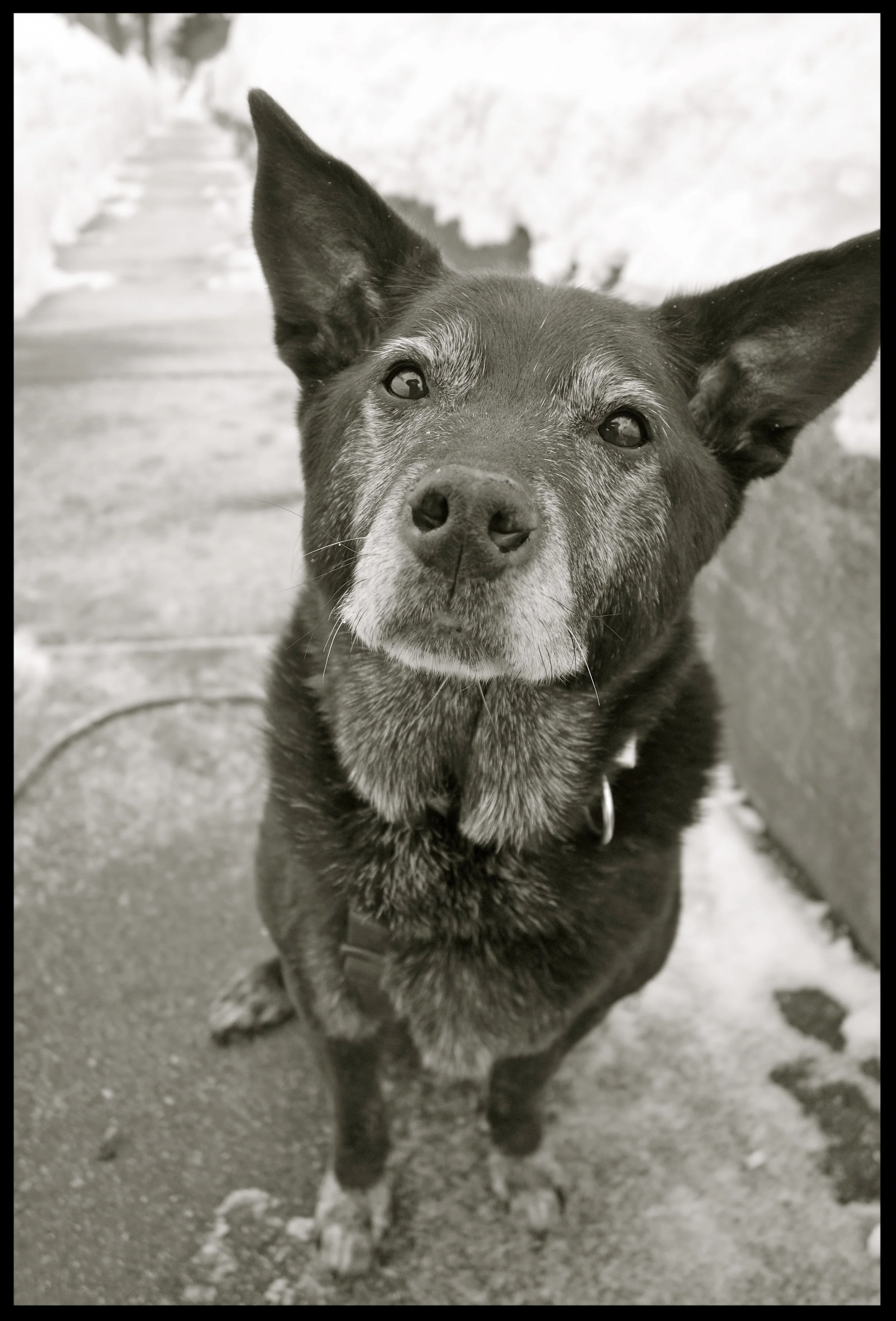 &nbsp;&nbsp;&nbsp;&nbsp;&nbsp;&nbsp;&nbsp;&nbsp;&nbsp;&nbsp;&nbsp;&nbsp;&nbsp;&nbsp;&nbsp;&nbsp;&nbsp;&nbsp;&nbsp;&nbsp;&nbsp;&nbsp;&nbsp;&nbsp;&nbsp;&nbsp;&nbsp;&nbsp;&nbsp;&nbsp;&nbsp;&nbsp;&nbsp;&nbsp;&nbsp;&nbsp;&nbsp;&nbsp;&nbsp;&nbsp;&nbsp;&nb…