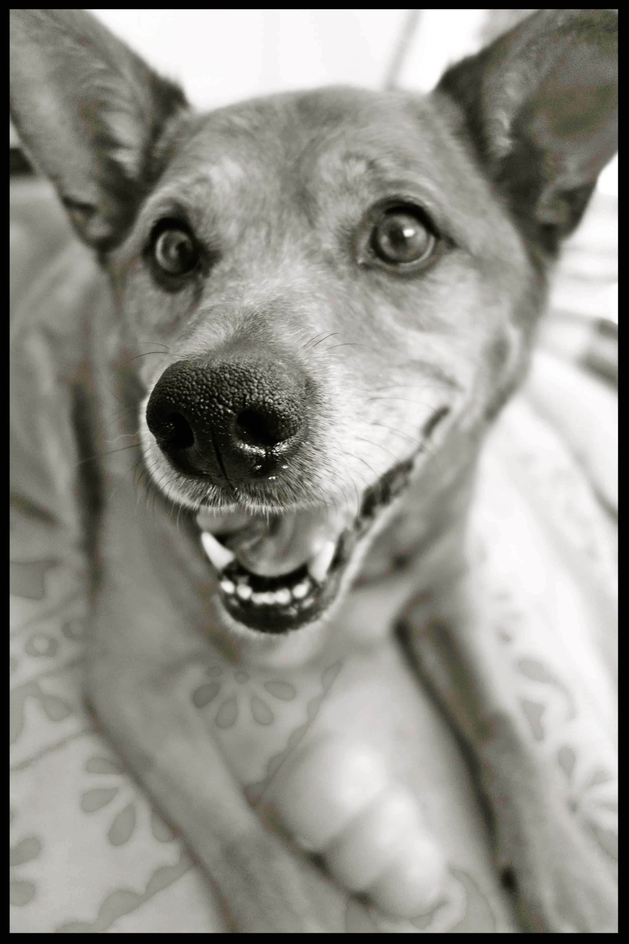 &nbsp;&nbsp;&nbsp;&nbsp;&nbsp;&nbsp;&nbsp;&nbsp;&nbsp;&nbsp;&nbsp;&nbsp;&nbsp;&nbsp;&nbsp;&nbsp;&nbsp;&nbsp;&nbsp;&nbsp;&nbsp;&nbsp;&nbsp;&nbsp;&nbsp;&nbsp;&nbsp;&nbsp;&nbsp;&nbsp;&nbsp;&nbsp;&nbsp;&nbsp;&nbsp;&nbsp;&nbsp;&nbsp;&nbsp;&nbsp;&nbsp;&nb…