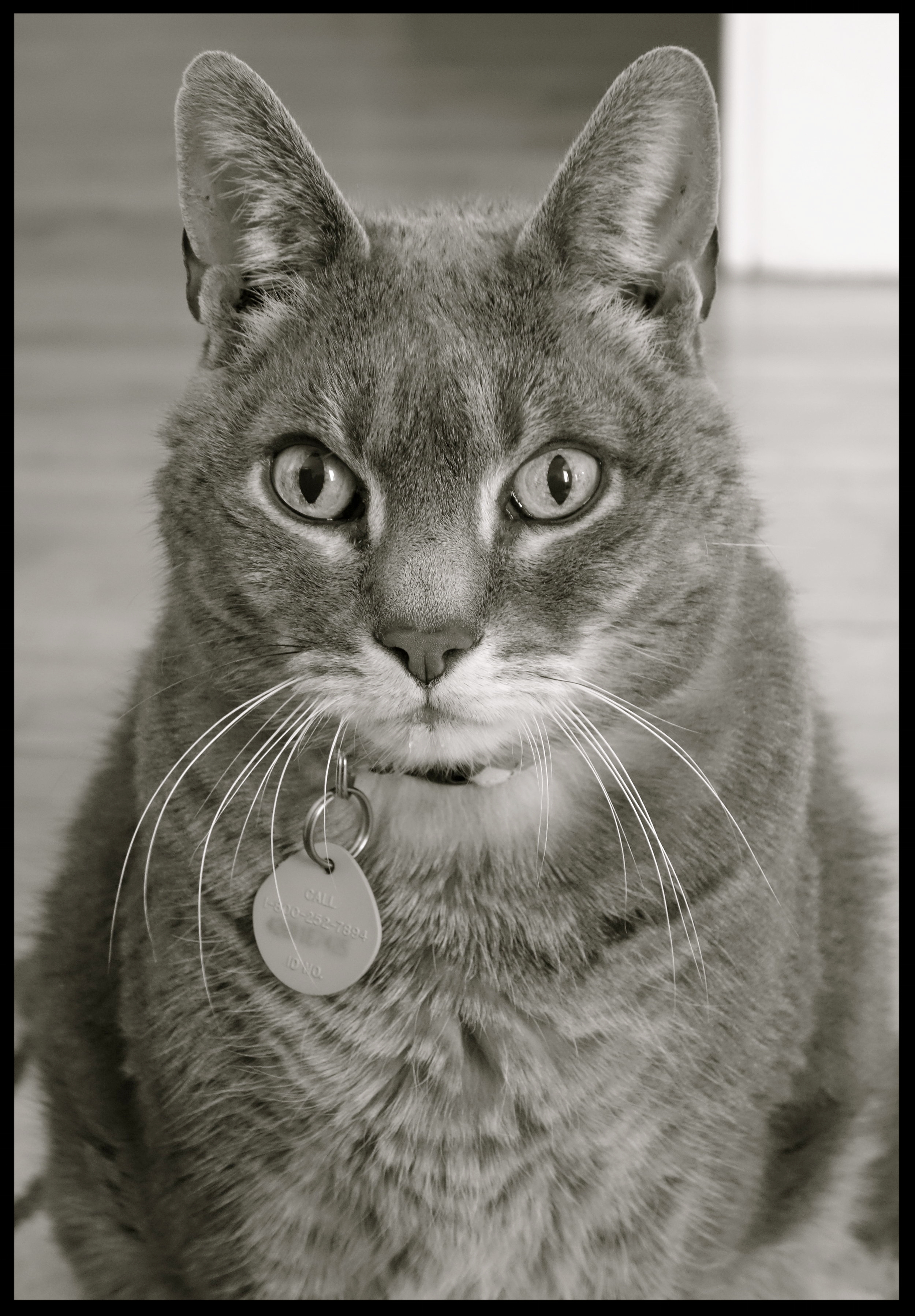 &nbsp;&nbsp;&nbsp;&nbsp;&nbsp;&nbsp;&nbsp;&nbsp;&nbsp;&nbsp;&nbsp;&nbsp;&nbsp;&nbsp;&nbsp;&nbsp;&nbsp;&nbsp;&nbsp;&nbsp;&nbsp;&nbsp;&nbsp;&nbsp;&nbsp;&nbsp;&nbsp;&nbsp;&nbsp;&nbsp;&nbsp;&nbsp;&nbsp;&nbsp;&nbsp;&nbsp;&nbsp;&nbsp;&nbsp;&nbsp;&nbsp;&nb…