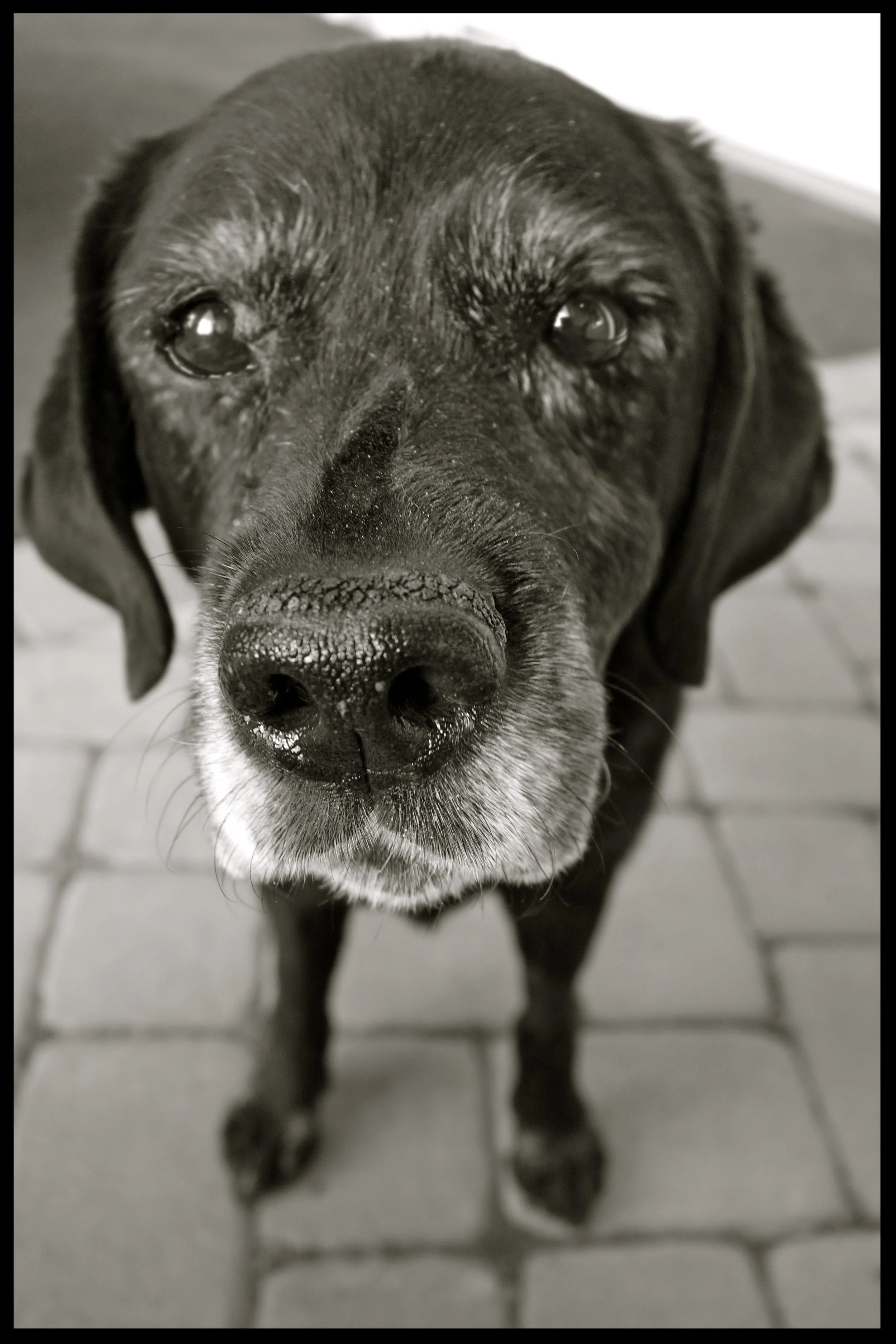 &nbsp;&nbsp;&nbsp;&nbsp;&nbsp;&nbsp;&nbsp;&nbsp;&nbsp;&nbsp;&nbsp;&nbsp;&nbsp;&nbsp;&nbsp;&nbsp;&nbsp;&nbsp;&nbsp;&nbsp;&nbsp;&nbsp;&nbsp;&nbsp;&nbsp;&nbsp;&nbsp;&nbsp;&nbsp;&nbsp;&nbsp;&nbsp;&nbsp;&nbsp;&nbsp;&nbsp;&nbsp;&nbsp;&nbsp;&nbsp;&nbsp;&nb…