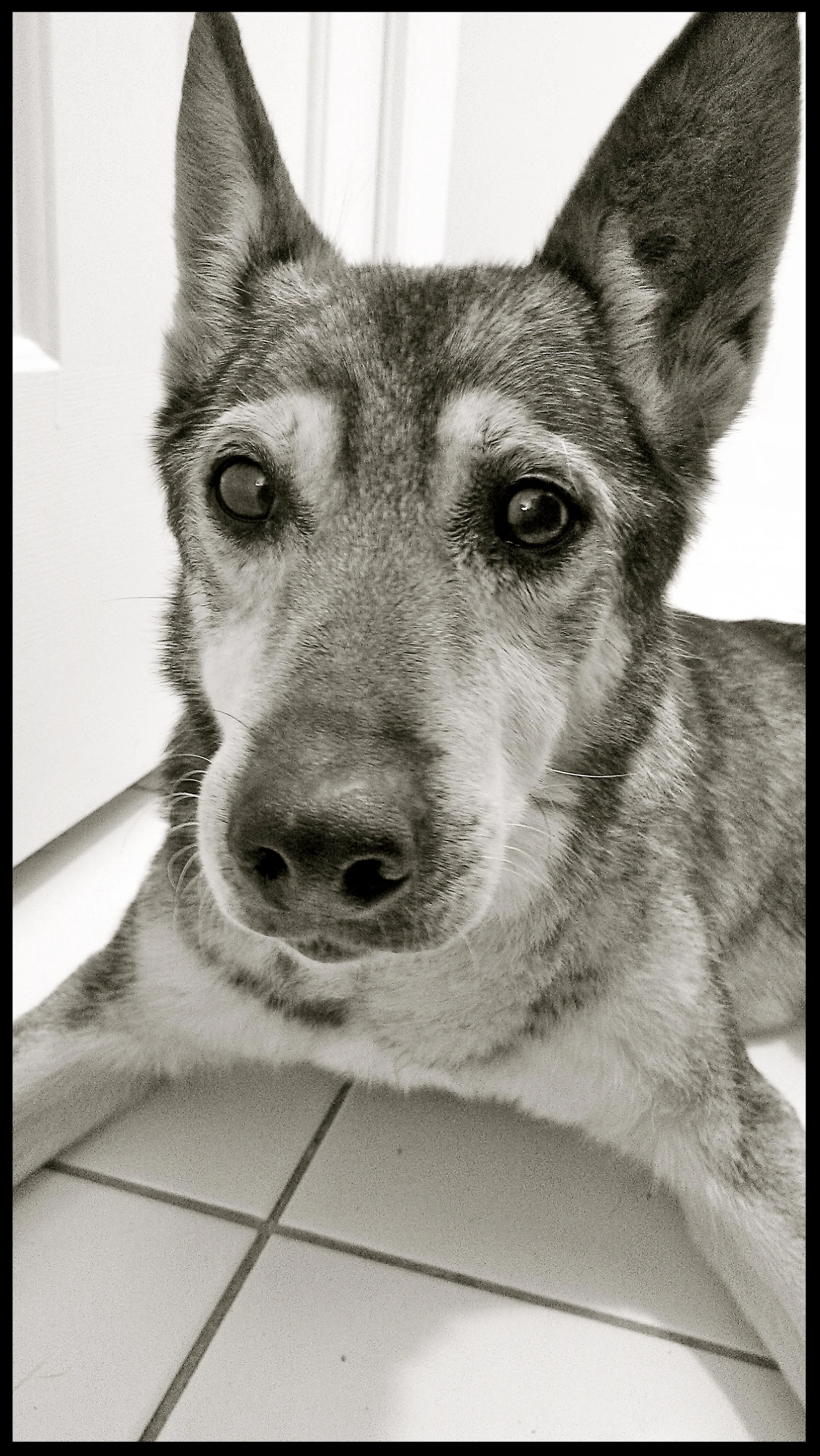 &nbsp;&nbsp;&nbsp;&nbsp;&nbsp;&nbsp;&nbsp;&nbsp;&nbsp;&nbsp;&nbsp;&nbsp;&nbsp;&nbsp;&nbsp;&nbsp;&nbsp;&nbsp;&nbsp;&nbsp;&nbsp;&nbsp;&nbsp;&nbsp;&nbsp;&nbsp;&nbsp;&nbsp;&nbsp;&nbsp;&nbsp;&nbsp;&nbsp;&nbsp;&nbsp;&nbsp;&nbsp;&nbsp;&nbsp;&nbsp;&nbsp;&nb…