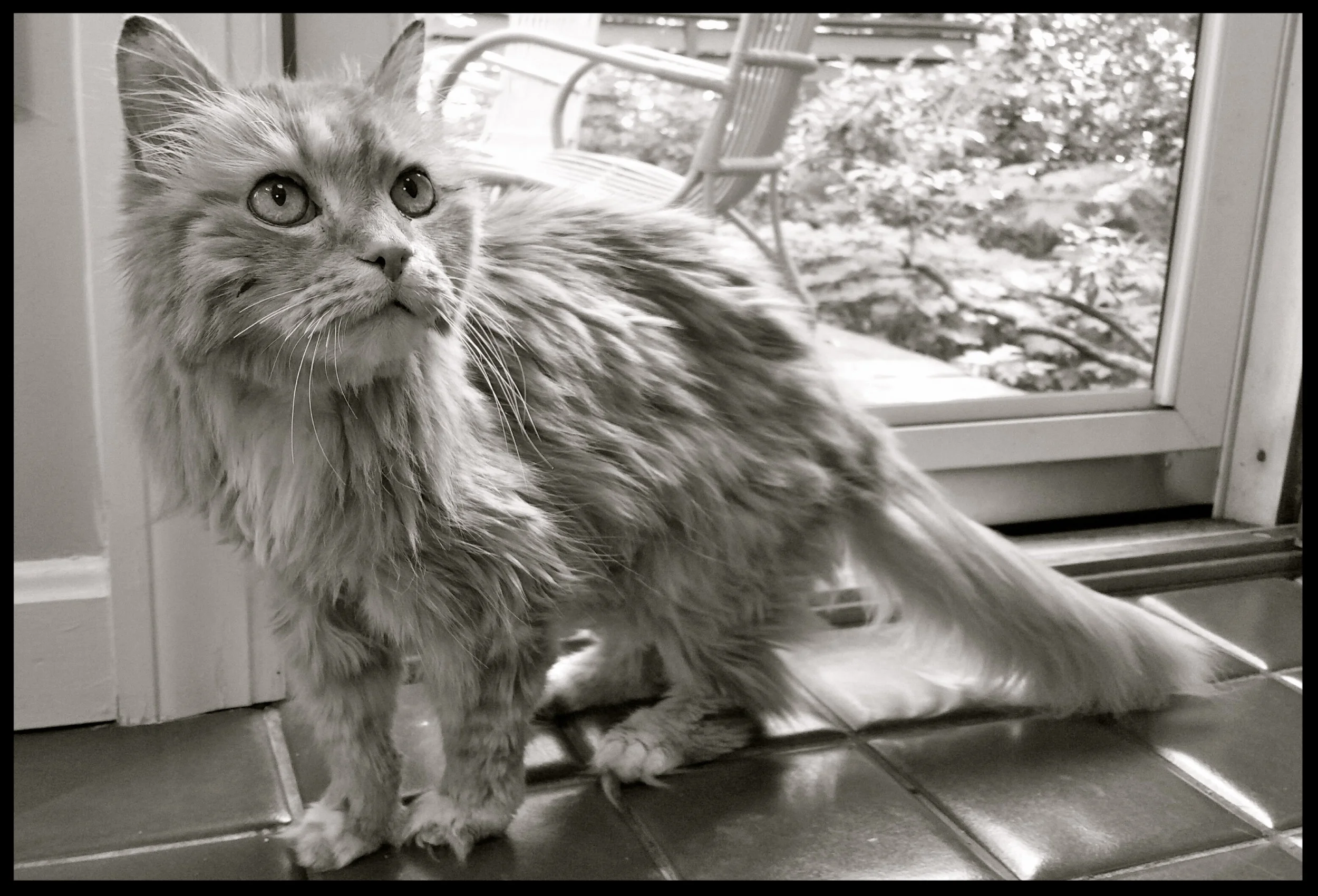 &nbsp;&nbsp;&nbsp;&nbsp;&nbsp;&nbsp;&nbsp;&nbsp;&nbsp;&nbsp;&nbsp;&nbsp;&nbsp;&nbsp;&nbsp;&nbsp;&nbsp;&nbsp;&nbsp;&nbsp;&nbsp;&nbsp;&nbsp;&nbsp;&nbsp;&nbsp;&nbsp;&nbsp;&nbsp;&nbsp;&nbsp;&nbsp;&nbsp;&nbsp;&nbsp;&nbsp;&nbsp;&nbsp;&nbsp;&nbsp;&nbsp;&nb…