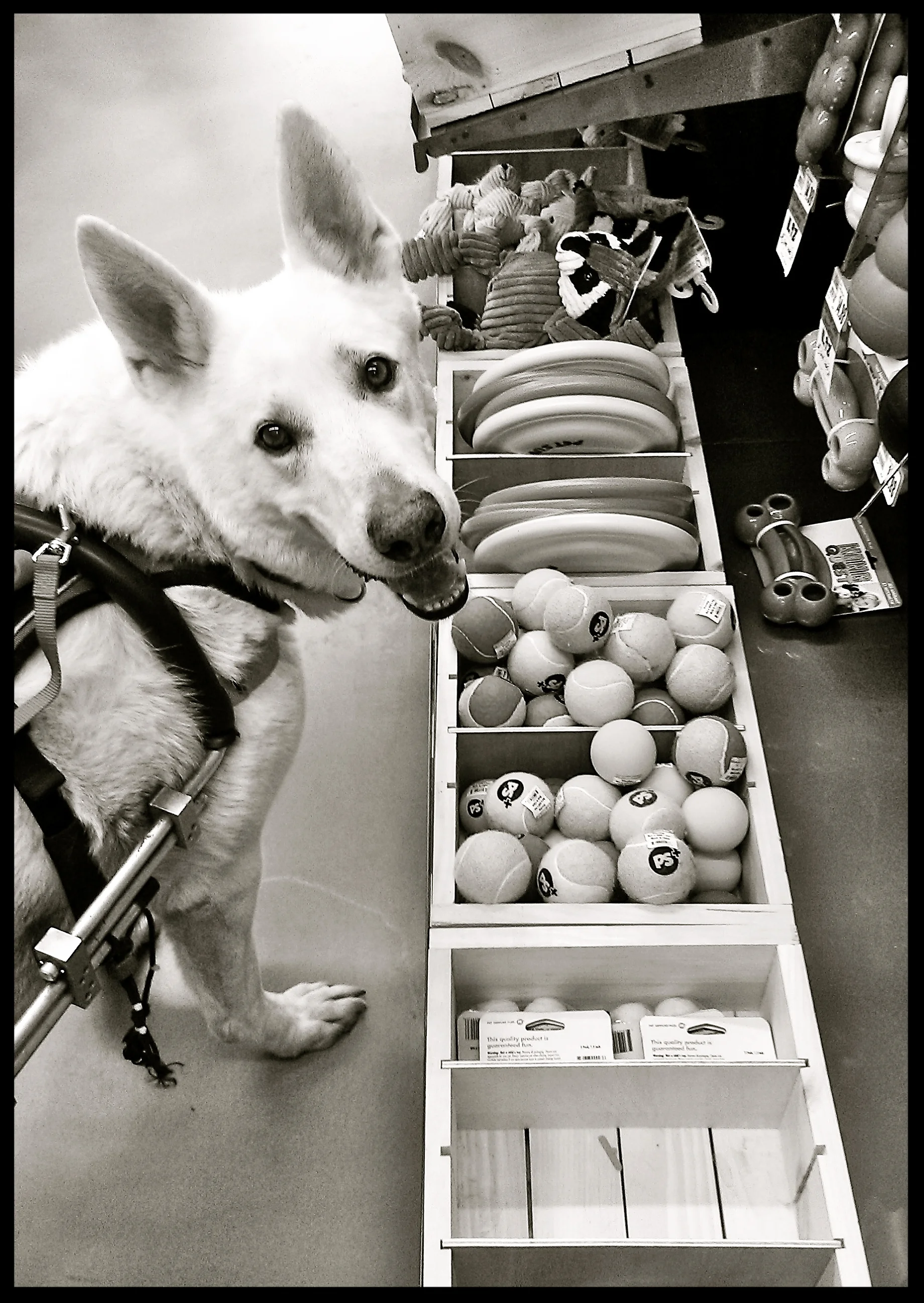 &nbsp;&nbsp;&nbsp;&nbsp;&nbsp;&nbsp;&nbsp;&nbsp;&nbsp;&nbsp;&nbsp;&nbsp;&nbsp;&nbsp;&nbsp;&nbsp;&nbsp;&nbsp;&nbsp;&nbsp;&nbsp;&nbsp;&nbsp;&nbsp;&nbsp;&nbsp;&nbsp;&nbsp;&nbsp;&nbsp;&nbsp;&nbsp;&nbsp;&nbsp;&nbsp;&nbsp;&nbsp;&nbsp;&nbsp;&nbsp;&nbsp;&nb…