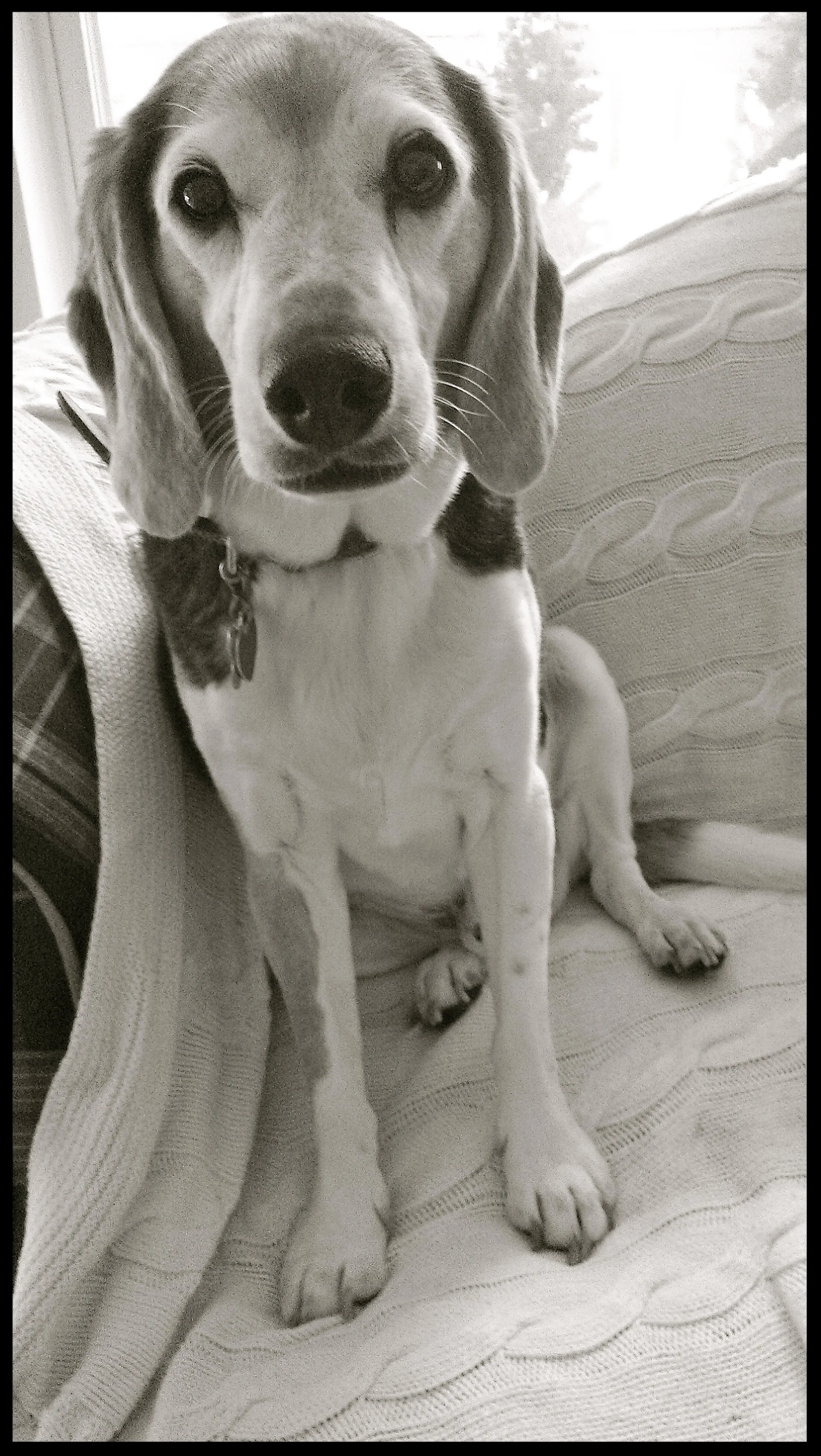 &nbsp;&nbsp;&nbsp;&nbsp;&nbsp;&nbsp;&nbsp;&nbsp;&nbsp;&nbsp;&nbsp;&nbsp;&nbsp;&nbsp;&nbsp;&nbsp;&nbsp;&nbsp;&nbsp;&nbsp;&nbsp;&nbsp;&nbsp;&nbsp;&nbsp;&nbsp;&nbsp;&nbsp;&nbsp;&nbsp;&nbsp;&nbsp;&nbsp;&nbsp;&nbsp;&nbsp;&nbsp;&nbsp;&nbsp;&nbsp;&nbsp;&nb…