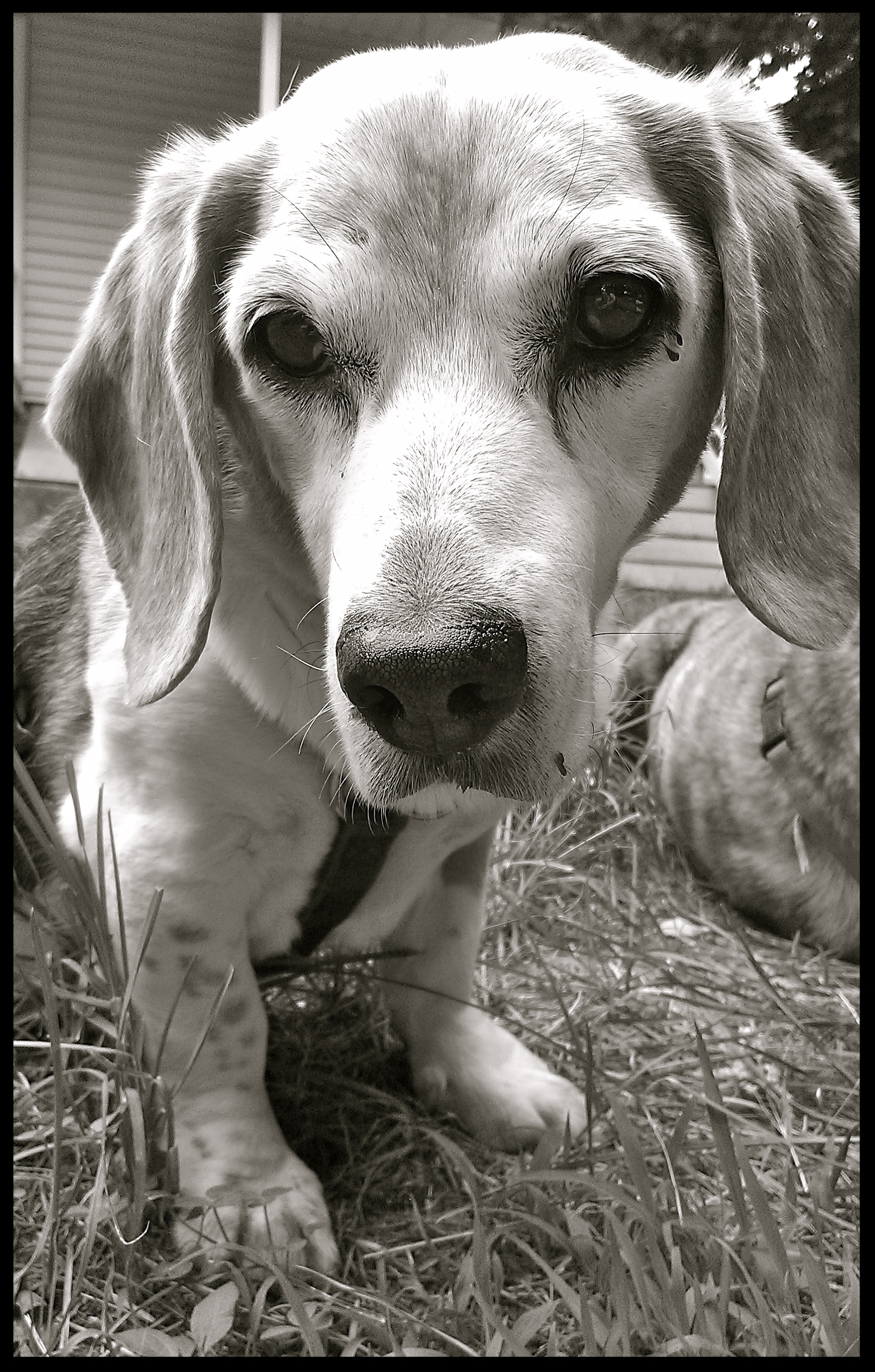 &nbsp;&nbsp;&nbsp;&nbsp;&nbsp;&nbsp;&nbsp;&nbsp;&nbsp;&nbsp;&nbsp;&nbsp;&nbsp;&nbsp;&nbsp;&nbsp;&nbsp;&nbsp;&nbsp;&nbsp;&nbsp;&nbsp;&nbsp;&nbsp;&nbsp;&nbsp;&nbsp;&nbsp;&nbsp;&nbsp;&nbsp;&nbsp;&nbsp;&nbsp;&nbsp;&nbsp;&nbsp;&nbsp;&nbsp;&nbsp;&nbsp;&nb…