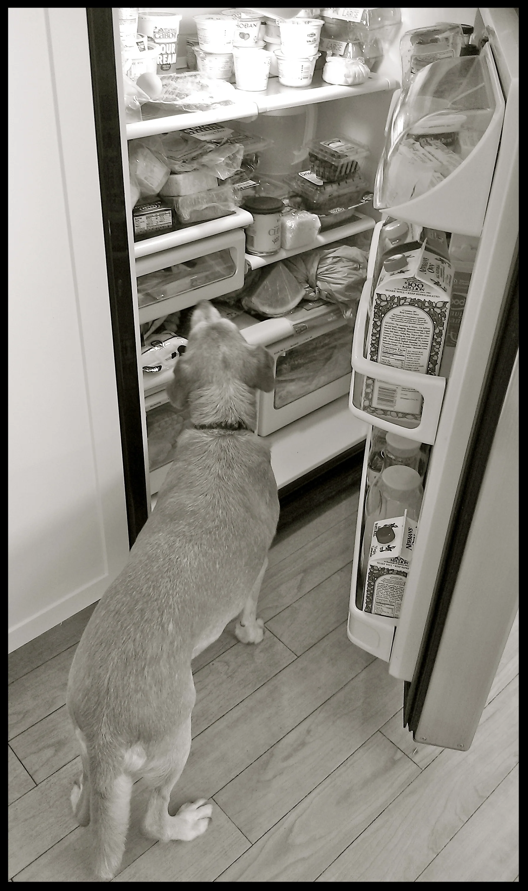 &nbsp;&nbsp;&nbsp;&nbsp;&nbsp;&nbsp;&nbsp;&nbsp;&nbsp;&nbsp;&nbsp;&nbsp;&nbsp;&nbsp;&nbsp;&nbsp;&nbsp;&nbsp;&nbsp;&nbsp;&nbsp;&nbsp;&nbsp;&nbsp;&nbsp;&nbsp;&nbsp;&nbsp;&nbsp;&nbsp;&nbsp;&nbsp;&nbsp;&nbsp;&nbsp;&nbsp;&nbsp;&nbsp;&nbsp;&nbsp;&nbsp;&nb…