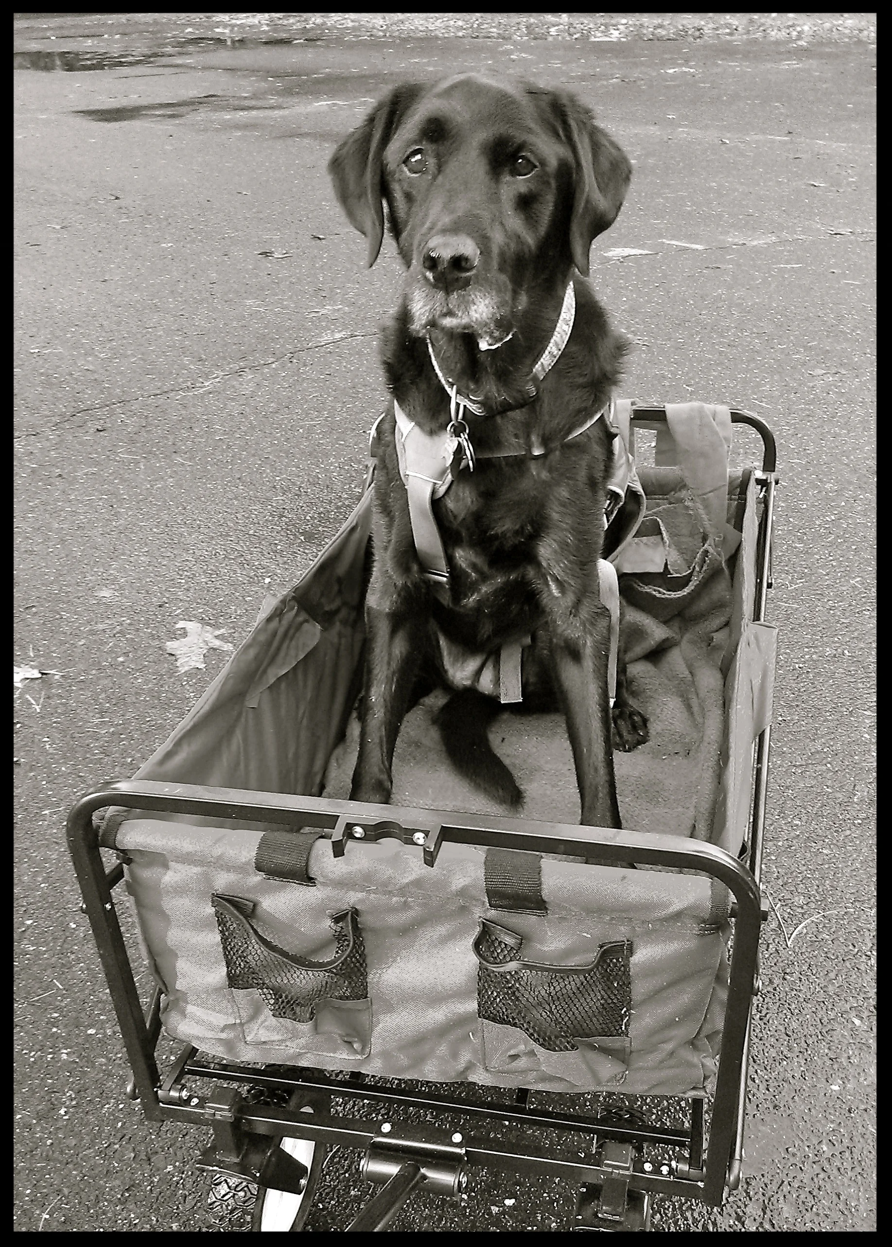 &nbsp;&nbsp;&nbsp;&nbsp;&nbsp;&nbsp;&nbsp;&nbsp;&nbsp;&nbsp;&nbsp;&nbsp;&nbsp;&nbsp;&nbsp;&nbsp;&nbsp;&nbsp;&nbsp;&nbsp;&nbsp;&nbsp;&nbsp;&nbsp;&nbsp;&nbsp;&nbsp;&nbsp;&nbsp;&nbsp;&nbsp;&nbsp;&nbsp;&nbsp;&nbsp;&nbsp;&nbsp;&nbsp;&nbsp;&nbsp;&nbsp;&nb…