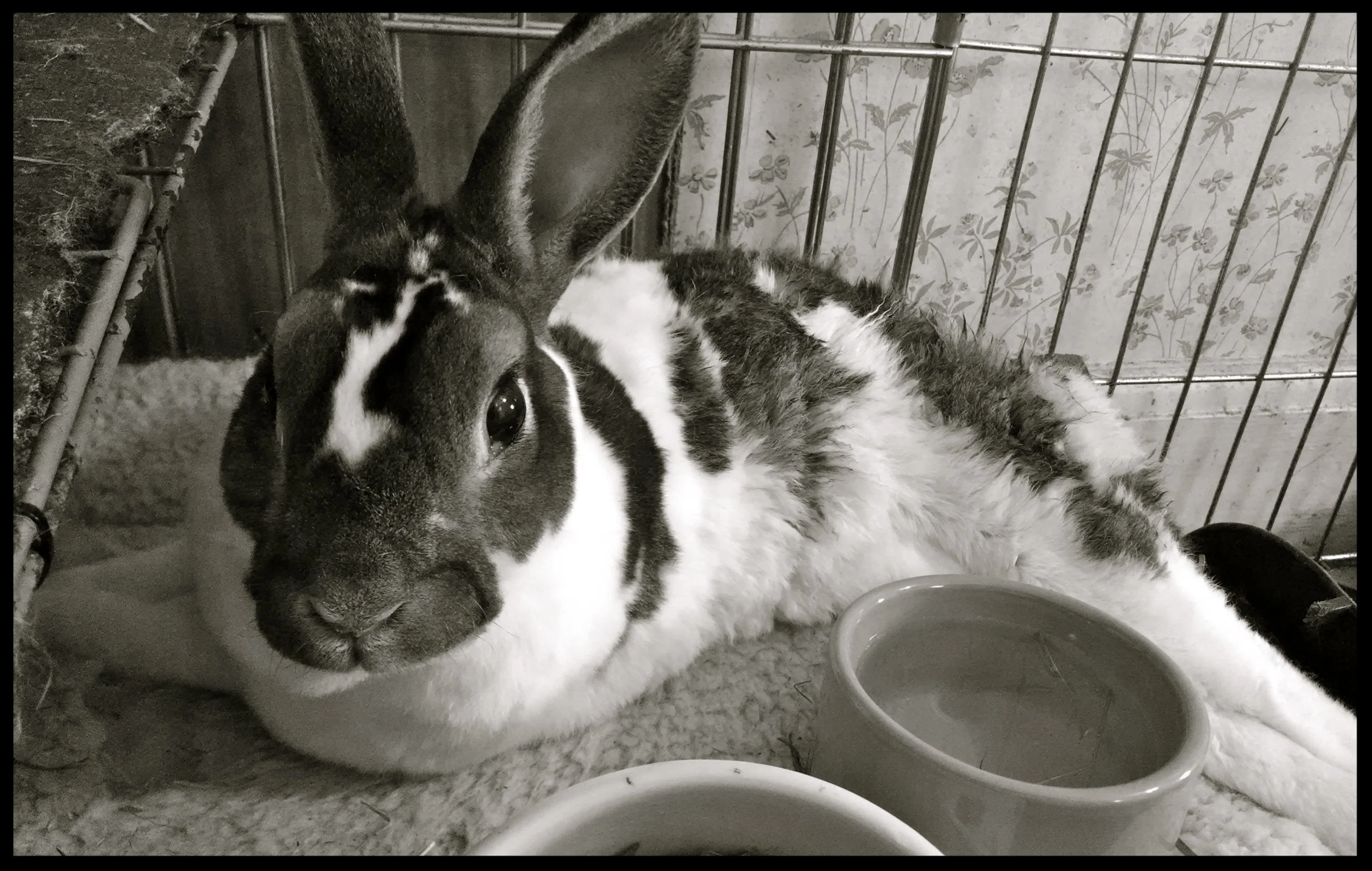 &nbsp;&nbsp;&nbsp;&nbsp;&nbsp;&nbsp;&nbsp;&nbsp;&nbsp;&nbsp;&nbsp;&nbsp;&nbsp;&nbsp;&nbsp;&nbsp;&nbsp;&nbsp;&nbsp;&nbsp;&nbsp;&nbsp;&nbsp;&nbsp;&nbsp;&nbsp;&nbsp;&nbsp;&nbsp;&nbsp;&nbsp;&nbsp;&nbsp;&nbsp;&nbsp;&nbsp;&nbsp;&nbsp;&nbsp;&nbsp;&nbsp;&nb…