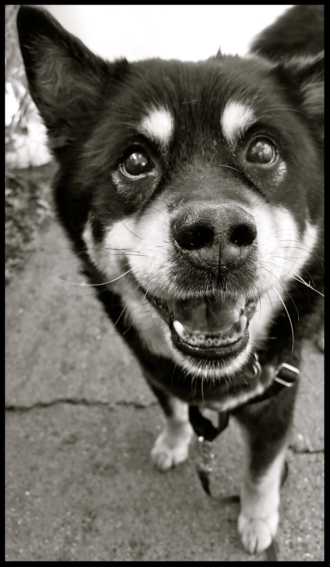 &nbsp;&nbsp;&nbsp;&nbsp;&nbsp;&nbsp;&nbsp;&nbsp;&nbsp;&nbsp;&nbsp;&nbsp;&nbsp;&nbsp;&nbsp;&nbsp;&nbsp;&nbsp;&nbsp;&nbsp;&nbsp;&nbsp;&nbsp;&nbsp;&nbsp;&nbsp;&nbsp;&nbsp;&nbsp;&nbsp;&nbsp;&nbsp;&nbsp;&nbsp;&nbsp;&nbsp;&nbsp;&nbsp;&nbsp;&nbsp;&nbsp;&nb…