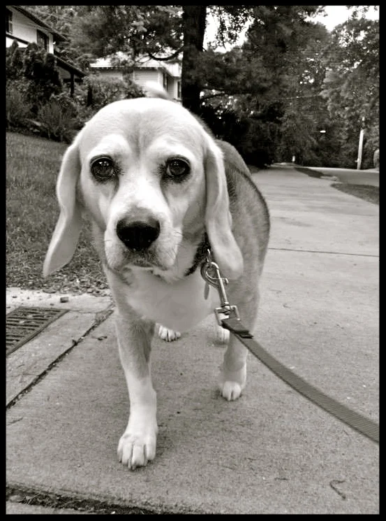 &nbsp;&nbsp;&nbsp;&nbsp;&nbsp;&nbsp;&nbsp;&nbsp;&nbsp;&nbsp;&nbsp;&nbsp;&nbsp;&nbsp;&nbsp;&nbsp;&nbsp;&nbsp;&nbsp;&nbsp;&nbsp;&nbsp;&nbsp;&nbsp;&nbsp;&nbsp;&nbsp;&nbsp;&nbsp;&nbsp;&nbsp;&nbsp;&nbsp;&nbsp;&nbsp;&nbsp;&nbsp;&nbsp;&nbsp;&nbsp;&nbsp;&nb…