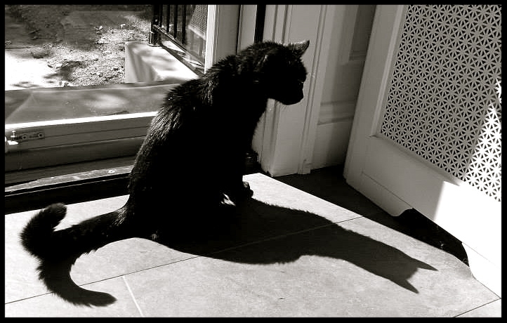 &nbsp;&nbsp;&nbsp;&nbsp;&nbsp;&nbsp;&nbsp;&nbsp;&nbsp;&nbsp;&nbsp;&nbsp;&nbsp;&nbsp;&nbsp;&nbsp;&nbsp;&nbsp;&nbsp;&nbsp;&nbsp;&nbsp;&nbsp;&nbsp;&nbsp;&nbsp;&nbsp;&nbsp;&nbsp;&nbsp;&nbsp;&nbsp;&nbsp;&nbsp;&nbsp;&nbsp;&nbsp;&nbsp;&nbsp;&nbsp;&nbsp;&nb…