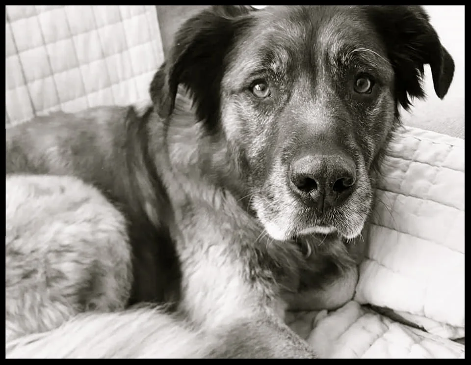 &nbsp;&nbsp;&nbsp;&nbsp;&nbsp;&nbsp;&nbsp;&nbsp;&nbsp;&nbsp;&nbsp;&nbsp;&nbsp;&nbsp;&nbsp;&nbsp;&nbsp;&nbsp;&nbsp;&nbsp;&nbsp;&nbsp;&nbsp;&nbsp;&nbsp;&nbsp;&nbsp;&nbsp;&nbsp;&nbsp;&nbsp;&nbsp;&nbsp;&nbsp;&nbsp;&nbsp;&nbsp;&nbsp;&nbsp;&nbsp;&nbsp;&nb…