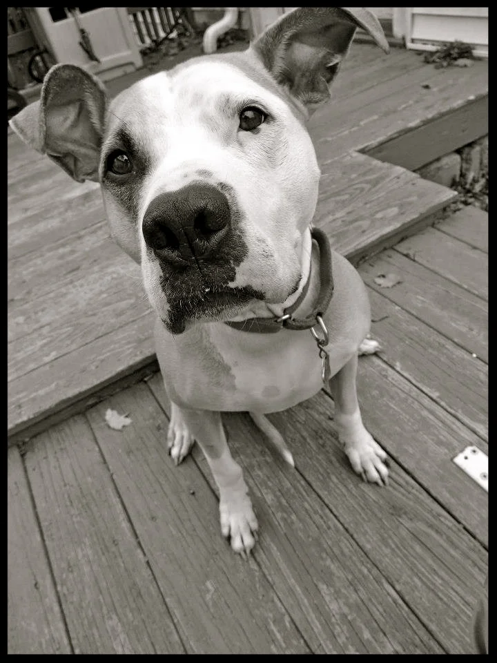 &nbsp;&nbsp;&nbsp;&nbsp;&nbsp;&nbsp;&nbsp;&nbsp;&nbsp;&nbsp;&nbsp;&nbsp;&nbsp;&nbsp;&nbsp;&nbsp;&nbsp;&nbsp;&nbsp;&nbsp;&nbsp;&nbsp;&nbsp;&nbsp;&nbsp;&nbsp;&nbsp;&nbsp;&nbsp;&nbsp;&nbsp;&nbsp;&nbsp;&nbsp;&nbsp;&nbsp;&nbsp;&nbsp;&nbsp;&nbsp;&nbsp;&nb…