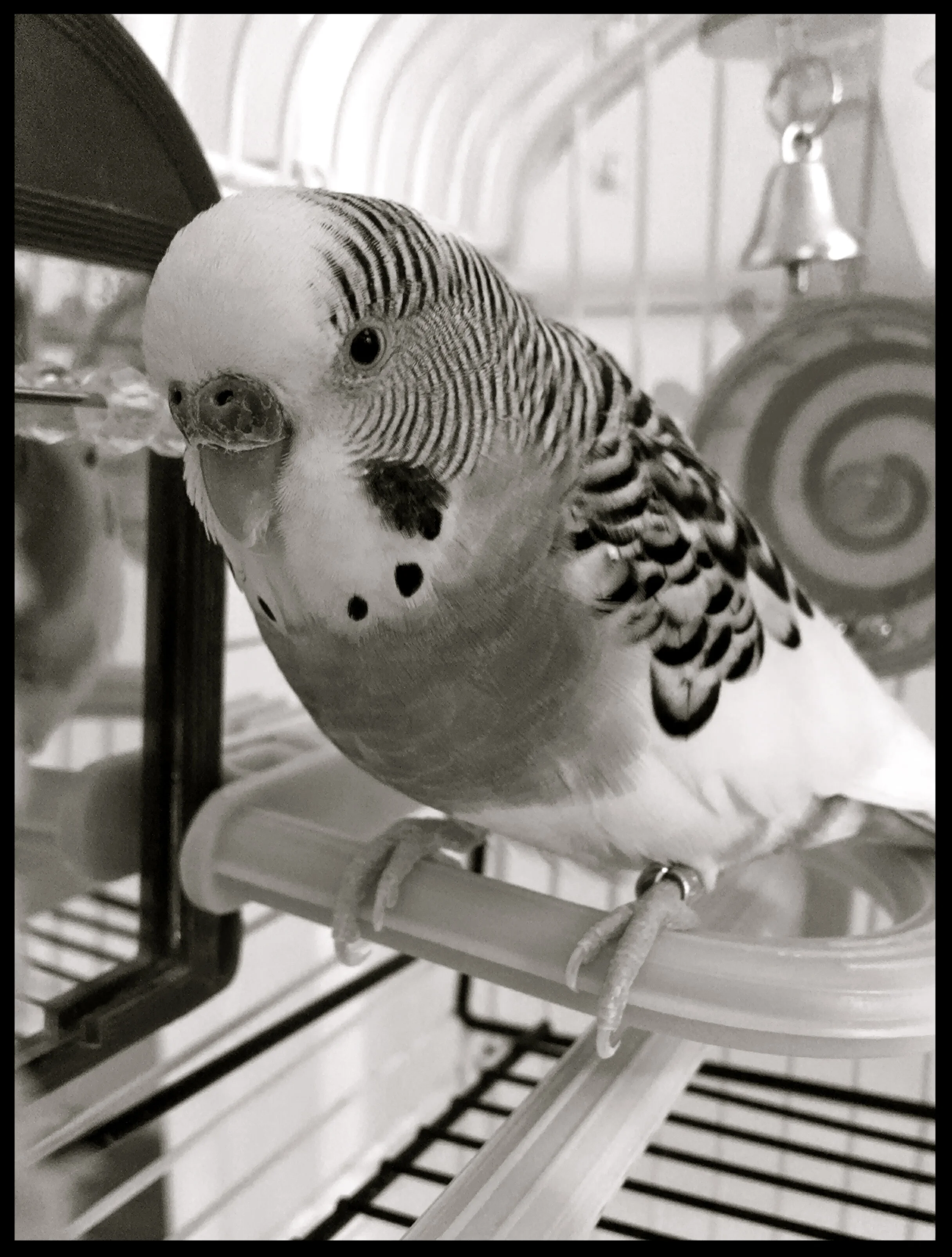 &nbsp;&nbsp;&nbsp;&nbsp;&nbsp;&nbsp;&nbsp;&nbsp;&nbsp;&nbsp;&nbsp;&nbsp;&nbsp;&nbsp;&nbsp;&nbsp;&nbsp;&nbsp;&nbsp;&nbsp;&nbsp;&nbsp;&nbsp;&nbsp;&nbsp;&nbsp;&nbsp;&nbsp;&nbsp;&nbsp;&nbsp;&nbsp;&nbsp;&nbsp;&nbsp;&nbsp;&nbsp;&nbsp;&nbsp;&nbsp;&nbsp;&nb…