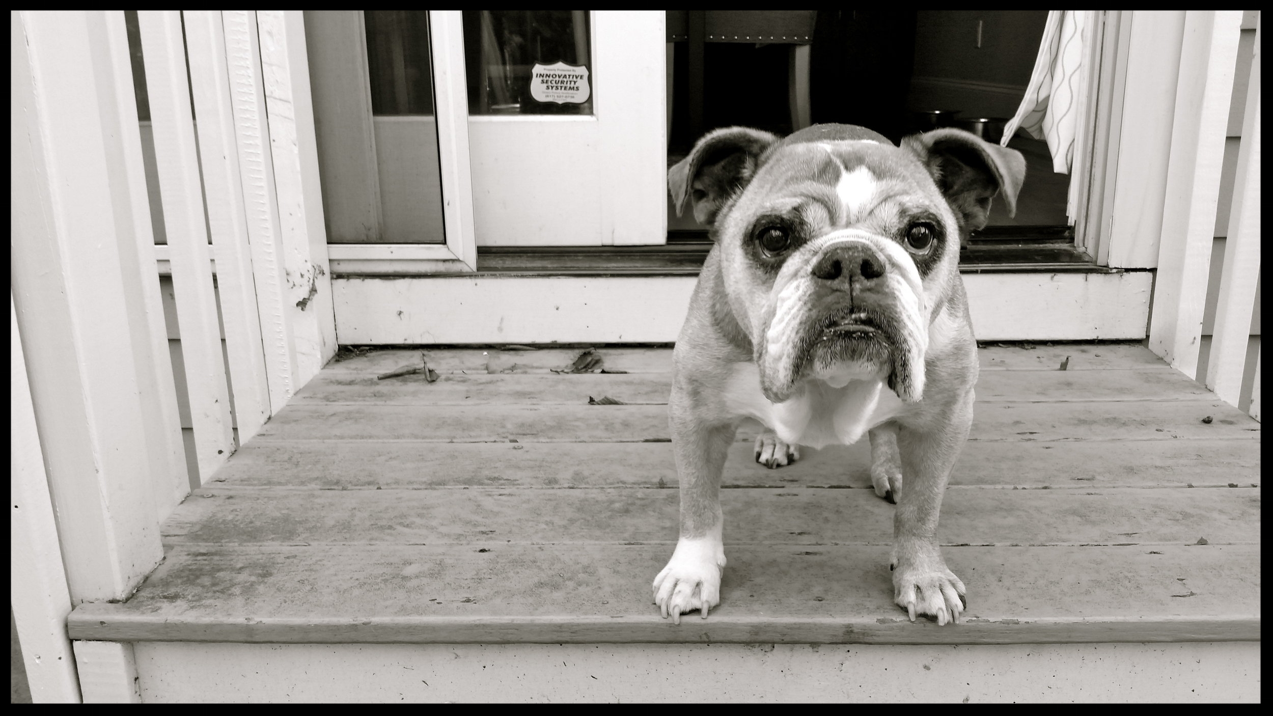 &nbsp;&nbsp;&nbsp;&nbsp;&nbsp;&nbsp;&nbsp;&nbsp;&nbsp;&nbsp;&nbsp;&nbsp;&nbsp;&nbsp;&nbsp;&nbsp;&nbsp;&nbsp;&nbsp;&nbsp;&nbsp;&nbsp;&nbsp;&nbsp;&nbsp;&nbsp;&nbsp;&nbsp;&nbsp;&nbsp;&nbsp;&nbsp;&nbsp;&nbsp;&nbsp;&nbsp;&nbsp;&nbsp;&nbsp;&nbsp;&nbsp;&nb…