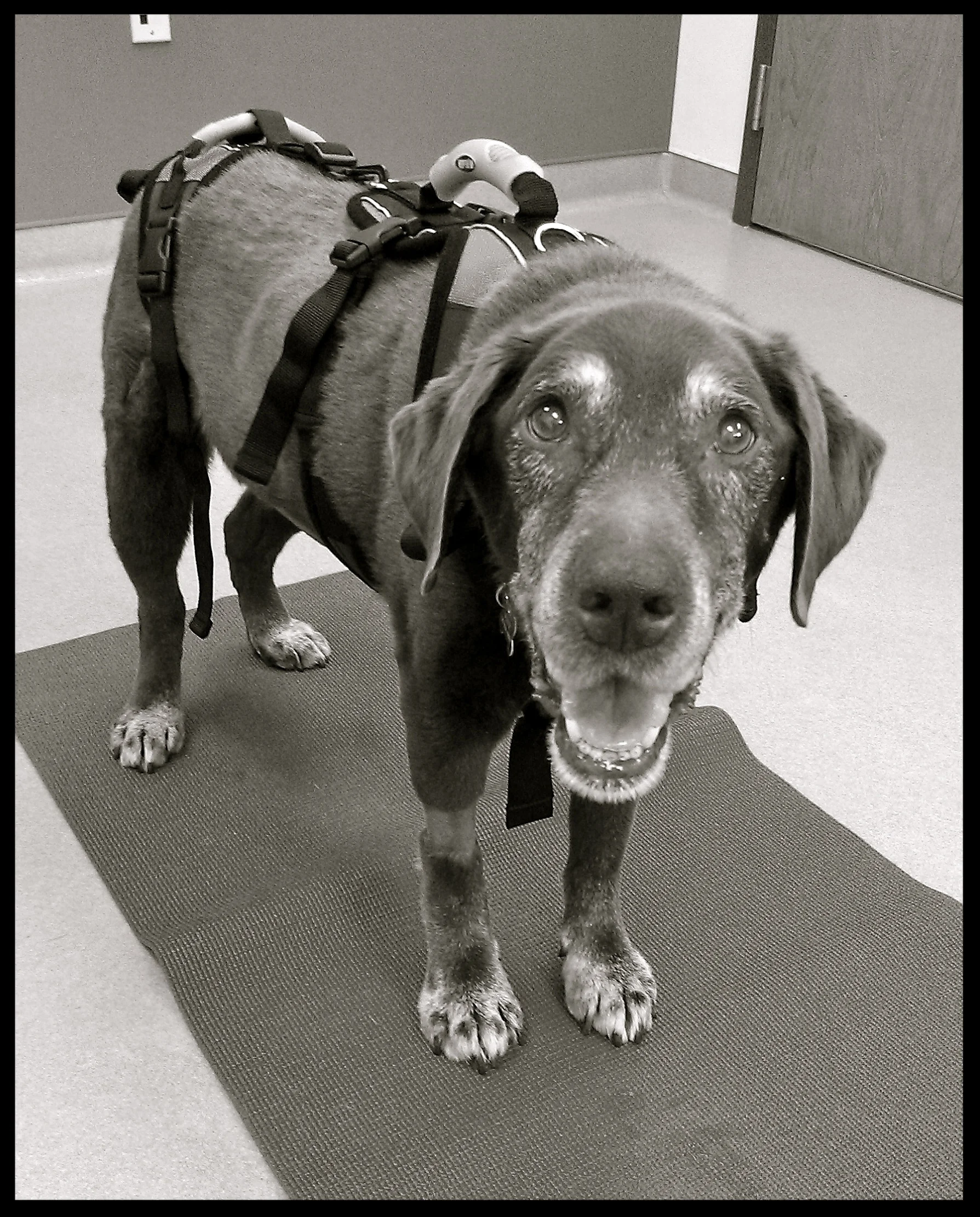 &nbsp;&nbsp;&nbsp;&nbsp;&nbsp;&nbsp;&nbsp;&nbsp;&nbsp;&nbsp;&nbsp;&nbsp;&nbsp;&nbsp;&nbsp;&nbsp;&nbsp;&nbsp;&nbsp;&nbsp;&nbsp;&nbsp;&nbsp;&nbsp;&nbsp;&nbsp;&nbsp;&nbsp;&nbsp;&nbsp;&nbsp;&nbsp;&nbsp;&nbsp;&nbsp;&nbsp;&nbsp;&nbsp;&nbsp;&nbsp;&nbsp;&nb…