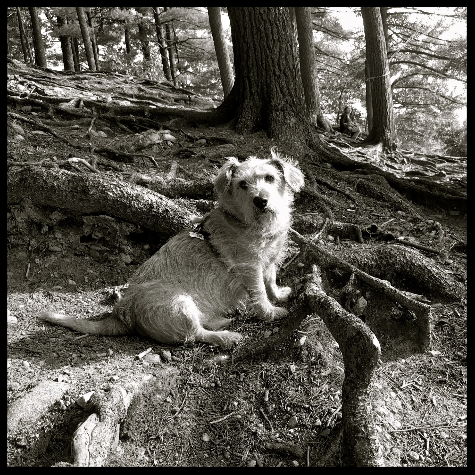 &nbsp;&nbsp;&nbsp;&nbsp;&nbsp;&nbsp;&nbsp;&nbsp;&nbsp;&nbsp;&nbsp;&nbsp;&nbsp;&nbsp;&nbsp;&nbsp;&nbsp;&nbsp;&nbsp;&nbsp;&nbsp;&nbsp;&nbsp;&nbsp;&nbsp;&nbsp;&nbsp;&nbsp;&nbsp;&nbsp;&nbsp;&nbsp;&nbsp;&nbsp;&nbsp;&nbsp;&nbsp;&nbsp;&nbsp;&nbsp;&nbsp;&nb…