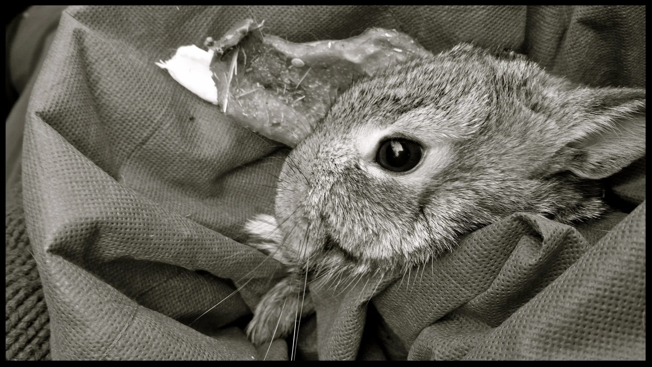 &nbsp;&nbsp;&nbsp;&nbsp;&nbsp;&nbsp;&nbsp;&nbsp;&nbsp;&nbsp;&nbsp;&nbsp;&nbsp;&nbsp;&nbsp;&nbsp;&nbsp;&nbsp;&nbsp;&nbsp;&nbsp;&nbsp;&nbsp;&nbsp;&nbsp;&nbsp;&nbsp;&nbsp;&nbsp;&nbsp;&nbsp;&nbsp;&nbsp;&nbsp;&nbsp;&nbsp;&nbsp;&nbsp;&nbsp;&nbsp;&nbsp;&nb…