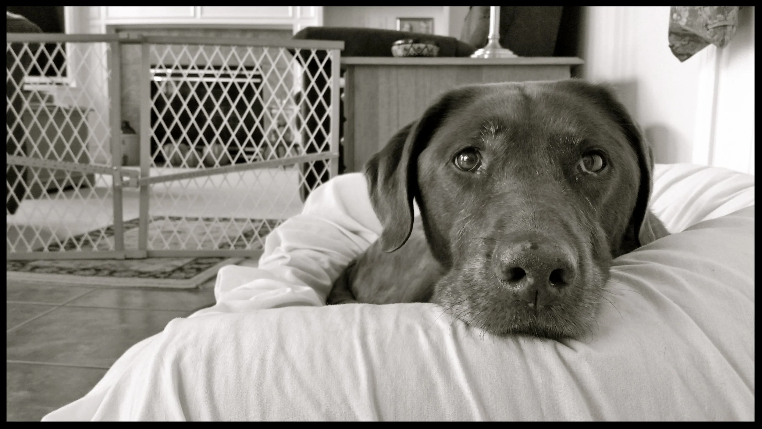 &nbsp;&nbsp;&nbsp;&nbsp;&nbsp;&nbsp;&nbsp;&nbsp;&nbsp;&nbsp;&nbsp;&nbsp;&nbsp;&nbsp;&nbsp;&nbsp;&nbsp;&nbsp;&nbsp;&nbsp;&nbsp;&nbsp;&nbsp;&nbsp;&nbsp;&nbsp;&nbsp;&nbsp;&nbsp;&nbsp;&nbsp;&nbsp;&nbsp;&nbsp;&nbsp;&nbsp;&nbsp;&nbsp;&nbsp;&nbsp;&nbsp;&nb…