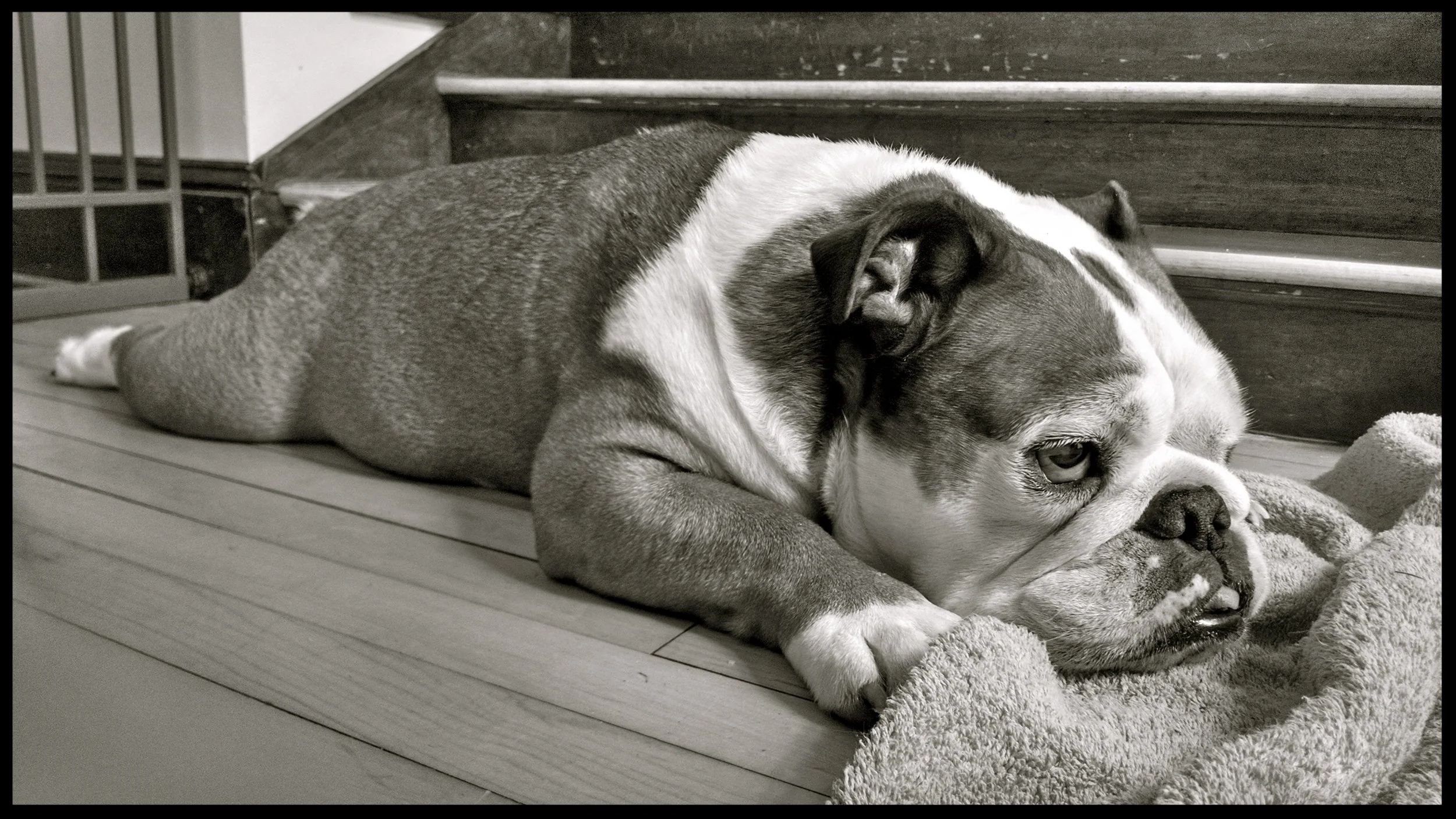 &nbsp;&nbsp;&nbsp;&nbsp;&nbsp;&nbsp;&nbsp;&nbsp;&nbsp;&nbsp;&nbsp;&nbsp;&nbsp;&nbsp;&nbsp;&nbsp;&nbsp;&nbsp;&nbsp;&nbsp;&nbsp;&nbsp;&nbsp;&nbsp;&nbsp;&nbsp;&nbsp;&nbsp;&nbsp;&nbsp;&nbsp;&nbsp;&nbsp;&nbsp;&nbsp;&nbsp;&nbsp;&nbsp;&nbsp;&nbsp;&nbsp;&nb…