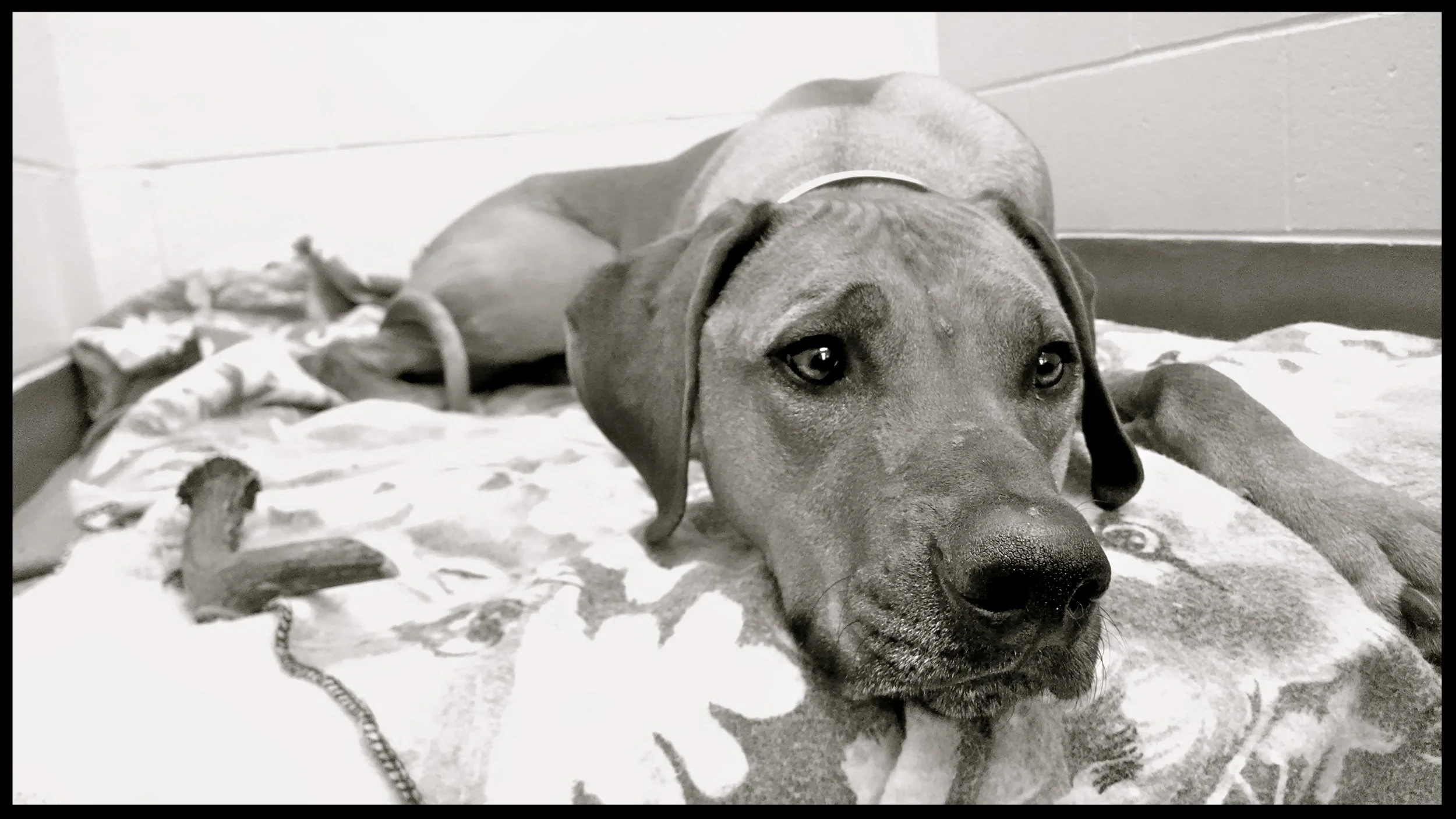 &nbsp;&nbsp;&nbsp;&nbsp;&nbsp;&nbsp;&nbsp;&nbsp;&nbsp;&nbsp;&nbsp;&nbsp;&nbsp;&nbsp;&nbsp;&nbsp;&nbsp;&nbsp;&nbsp;&nbsp;&nbsp;&nbsp;&nbsp;&nbsp;&nbsp;&nbsp;&nbsp;&nbsp;&nbsp;&nbsp;&nbsp;&nbsp;&nbsp;&nbsp;&nbsp;&nbsp;&nbsp;&nbsp;&nbsp;&nbsp;&nbsp;&nb…