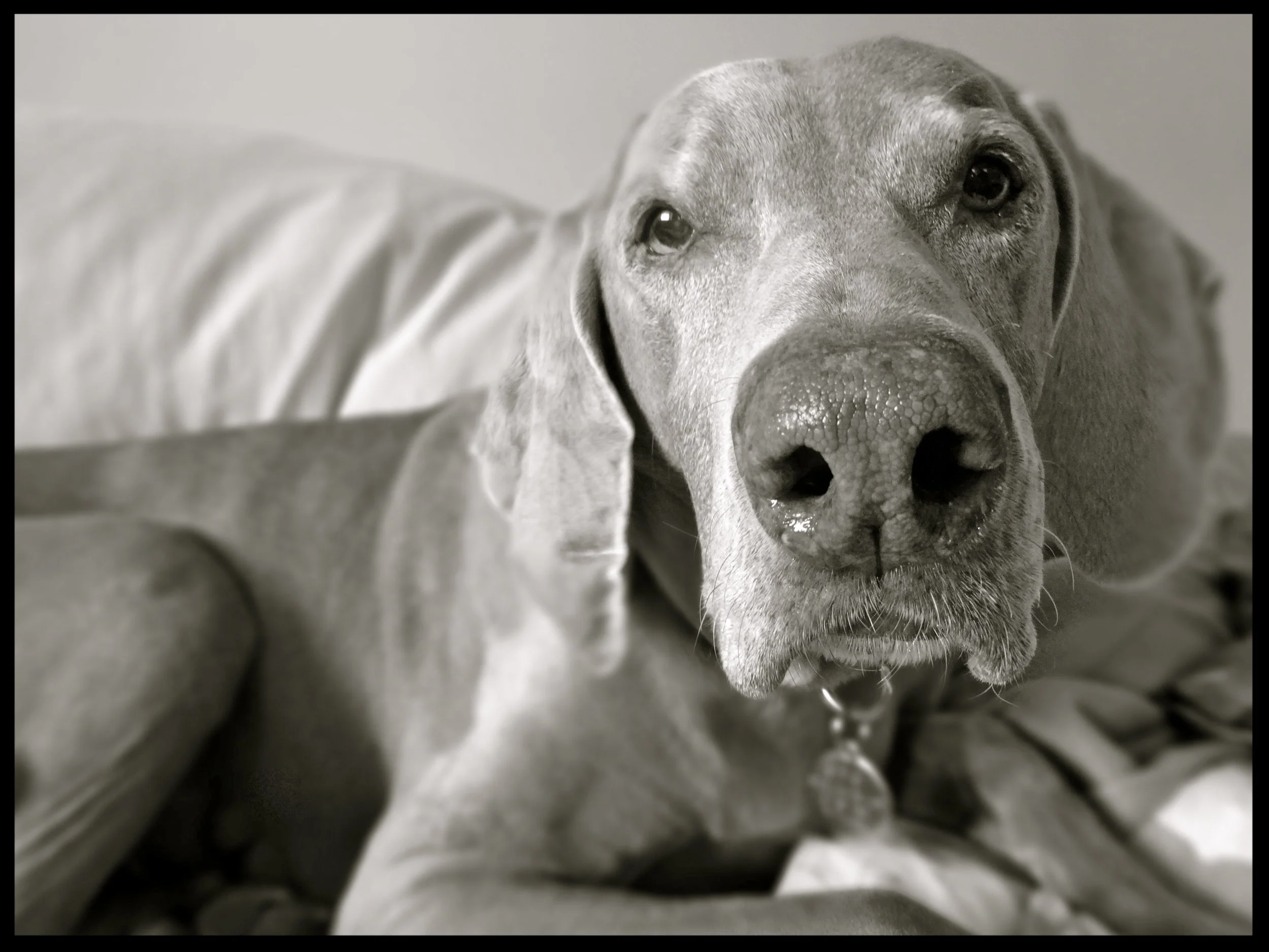 &nbsp;&nbsp;&nbsp;&nbsp;&nbsp;&nbsp;&nbsp;&nbsp;&nbsp;&nbsp;&nbsp;&nbsp;&nbsp;&nbsp;&nbsp;&nbsp;&nbsp;&nbsp;&nbsp;&nbsp;&nbsp;&nbsp;&nbsp;&nbsp;&nbsp;&nbsp;&nbsp;&nbsp;&nbsp;&nbsp;&nbsp;&nbsp;&nbsp;&nbsp;&nbsp;&nbsp;&nbsp;&nbsp;&nbsp;&nbsp;&nbsp;&nb…