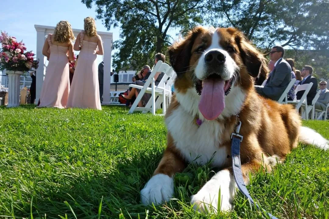 A Walk Down the Aisle