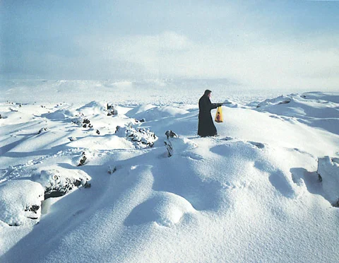 Fire and Ice (artnet Magazine)