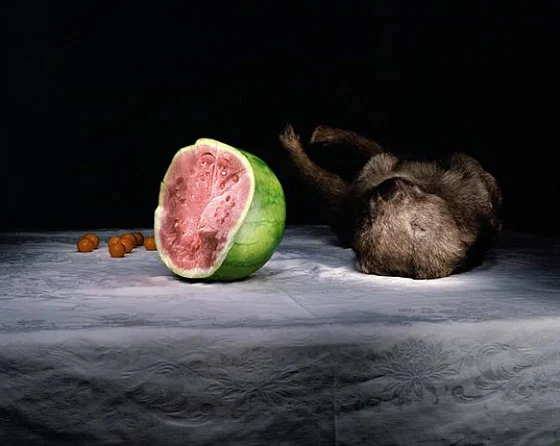 Up Periscope (artnet Magazine)