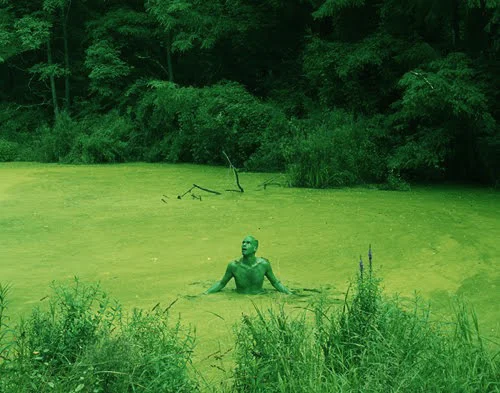 The "Emerging" Consensus (artnet Magazine)