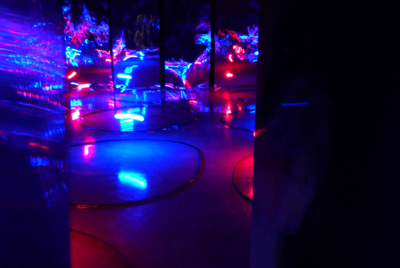 Roll Tape (artnet Magazine)