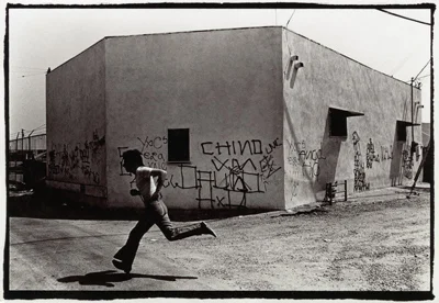 Under "Art in the Streets," the Beach!: The Real History Behind MOCA's Contentious Blockbuster (Artinfo)