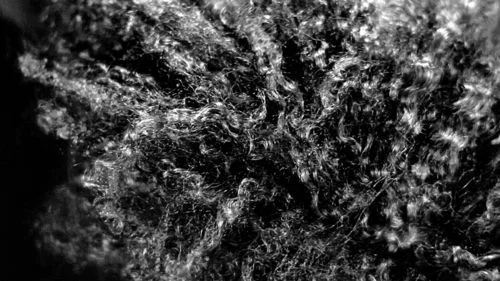 Lorraine O'Grady's Hair Stare Fare (Village Voice)