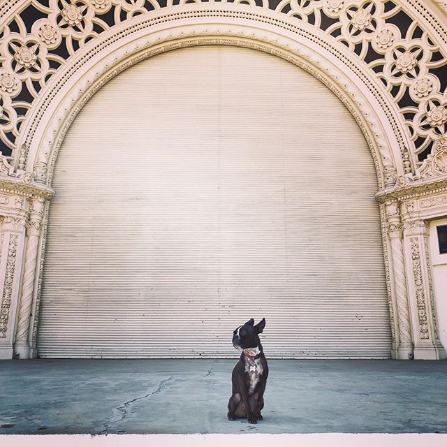 Today you are center stage, the world can hear your unique perspective, listen and learn from your invaluable wisdom. What will you say? To establish yourself as wonderfully credible, delightfully relatable, and undeniably fun to be around?
