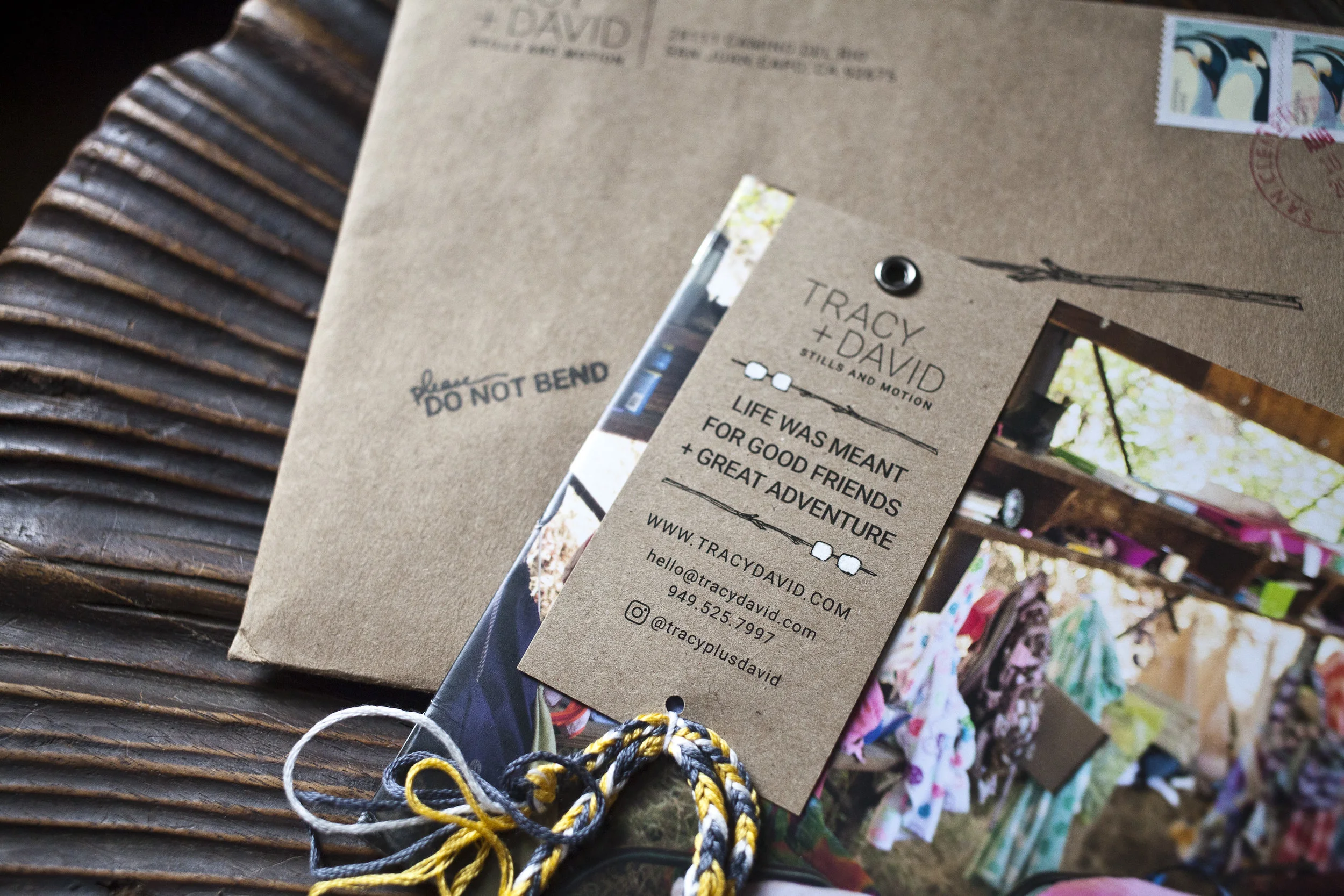 PhotographerFamiliarFox10.jpg