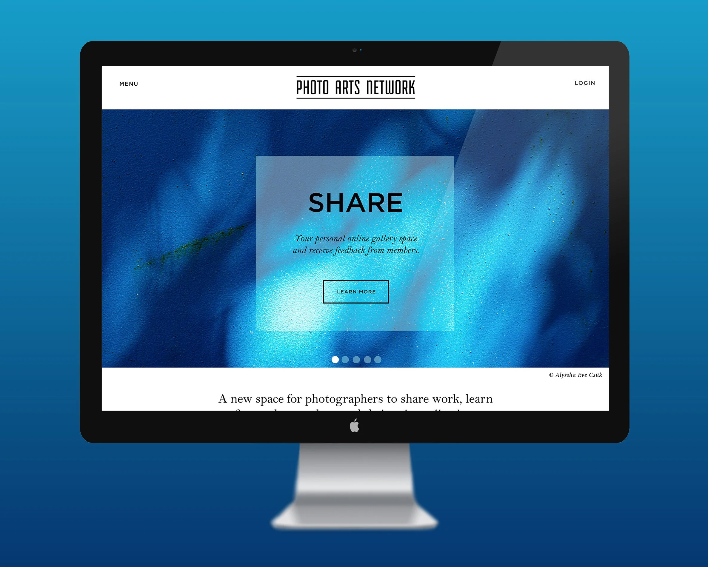 blue_PANwebsite.jpg