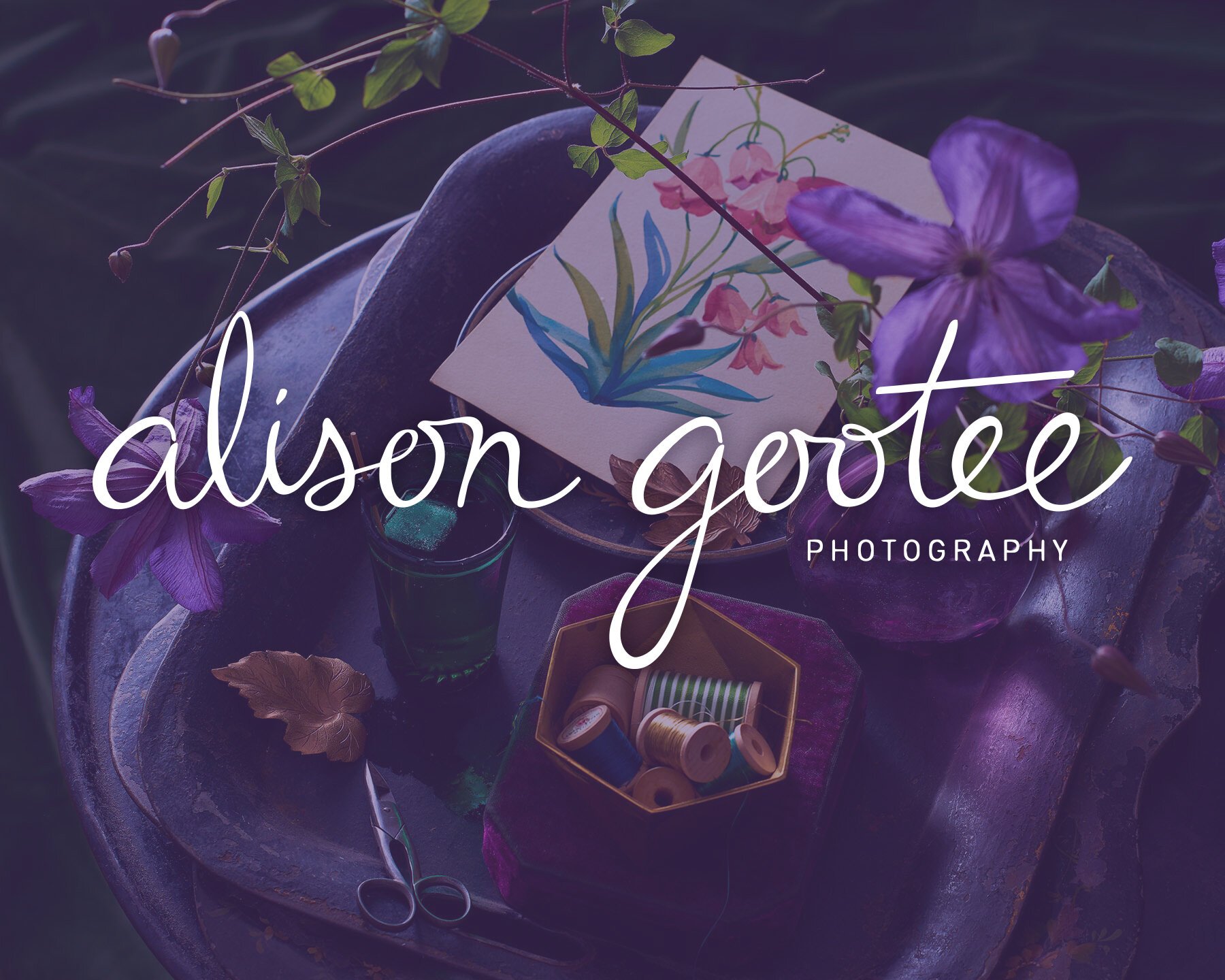 purple_allisonlogo.jpg