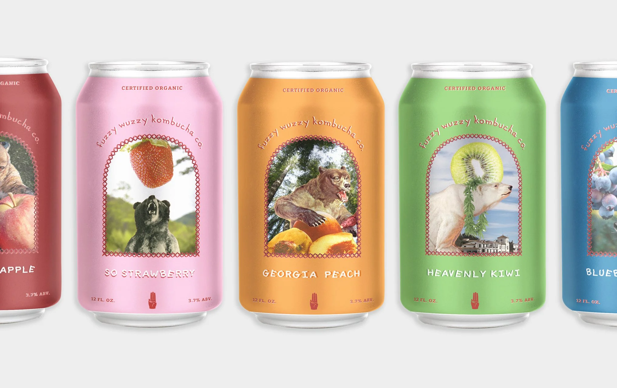 FuzzyBearKombucha.jpg