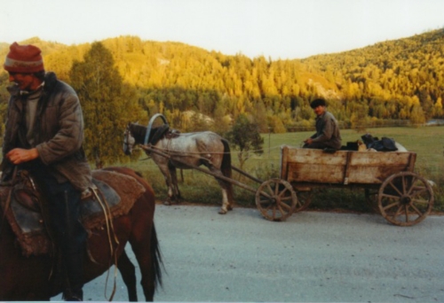 Traditional Transport