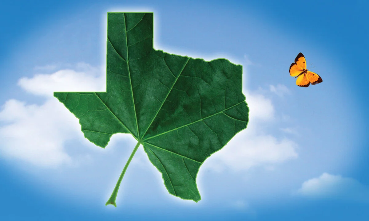 Green leaf shaped like Texas with an orange butterfly against a blue sky.