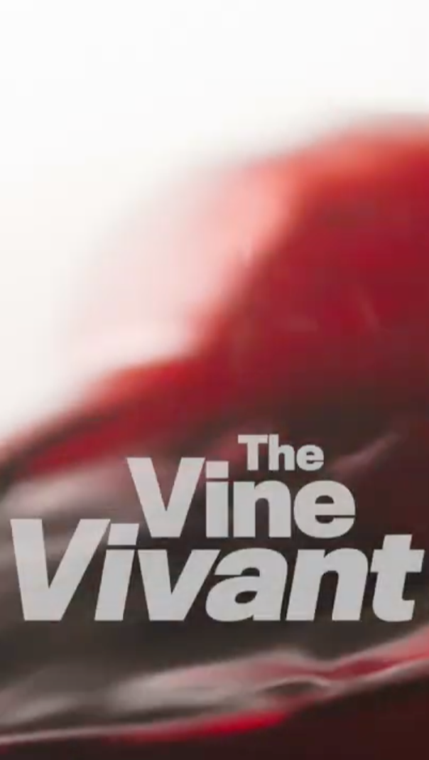 Title frame from an Instagram reel showing wine swishing in a glass with The Vine Vivant in bold sans serif type superimposed.