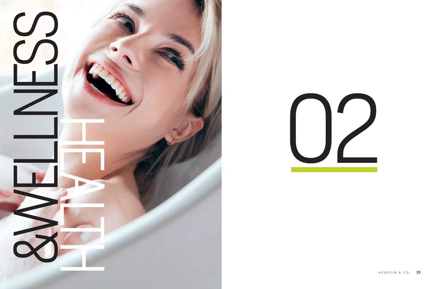 Section divider from Heroun & Company publication.