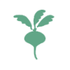 Beet.png