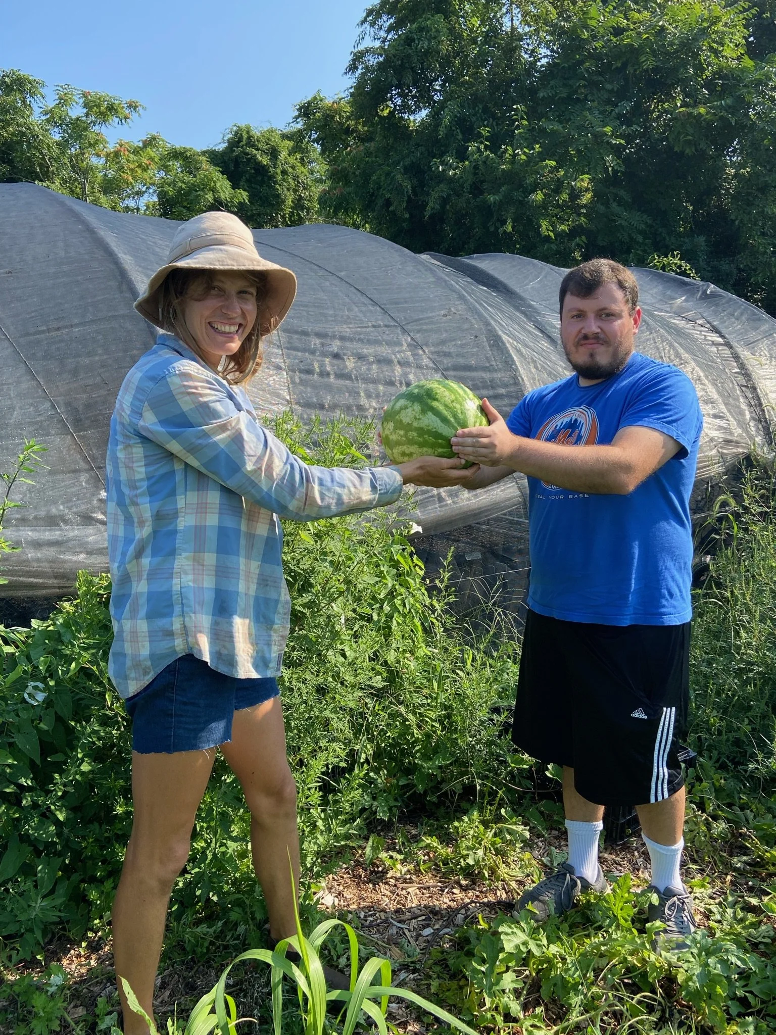 Alethea Michael_Watermelon.JPG