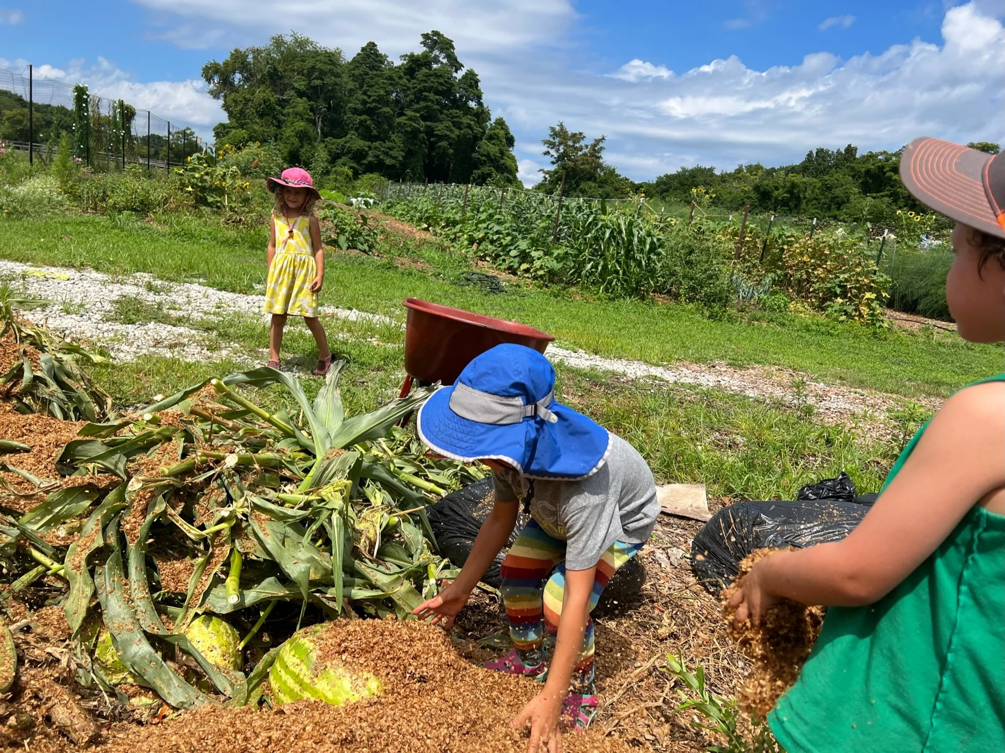Community Day: Kids in Nature: Composting